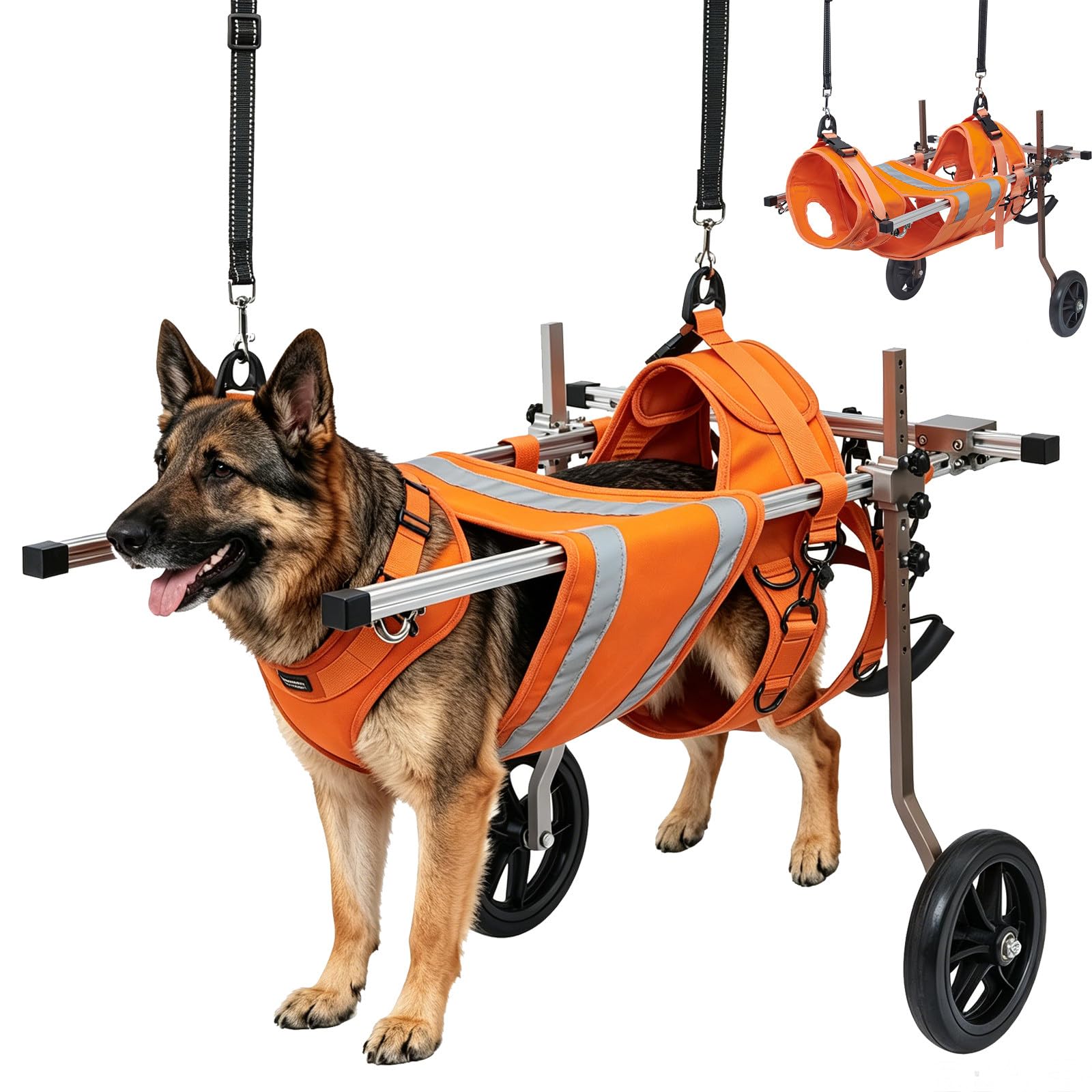 Chariot pour chien handicapé, aide aux pattes arrière pour retrouver la mobilité
