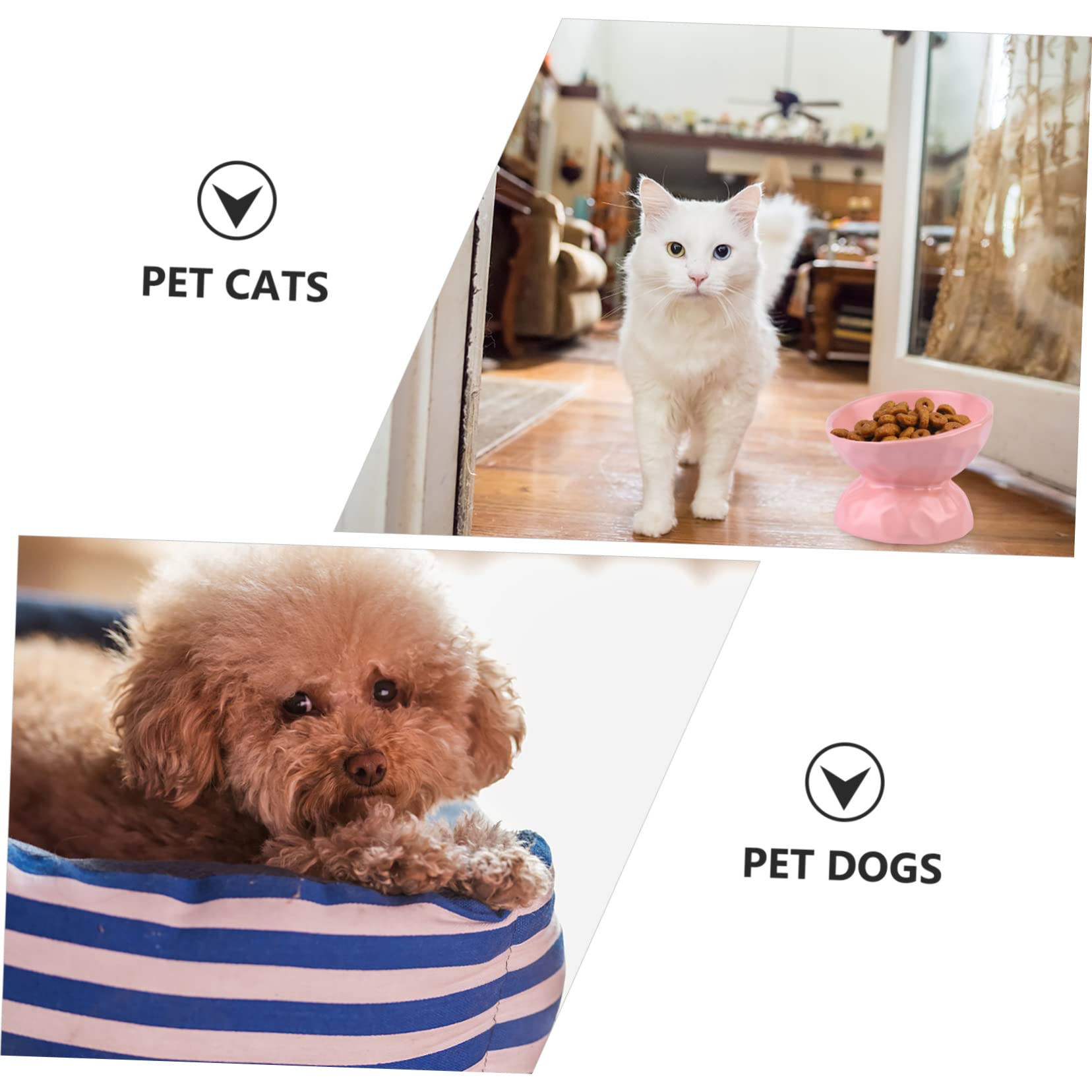 INOOMP Comedero De Cerámica para Gatos y Plato Antivoracidad y Antivuelco Diseño Ergonómico para Alimentación y