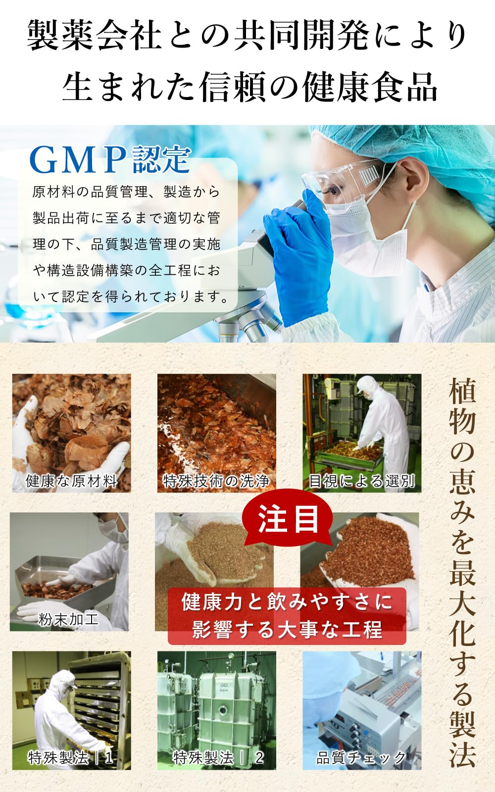 Amazon.co.jp: 【公式】村田食品の玉葱皮茶（1袋30包）ティーバッグ