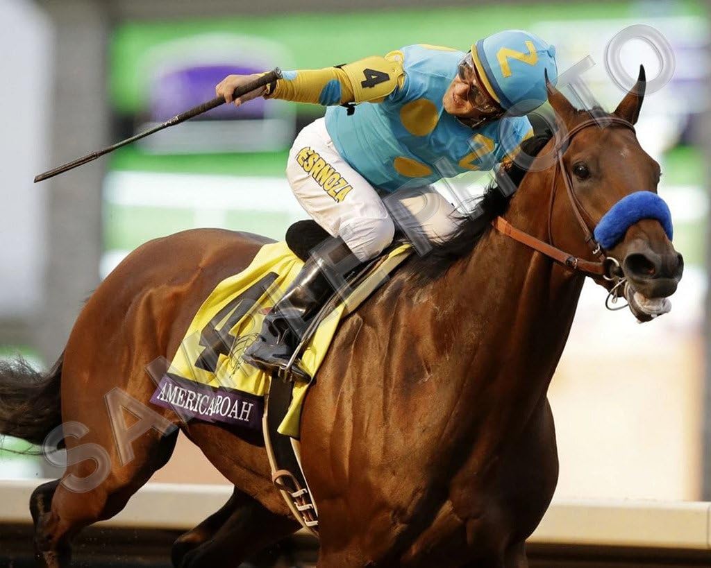 American Pharoah 2015 Breeders Cup Classic Champion Winner 16x20 Photo Poster