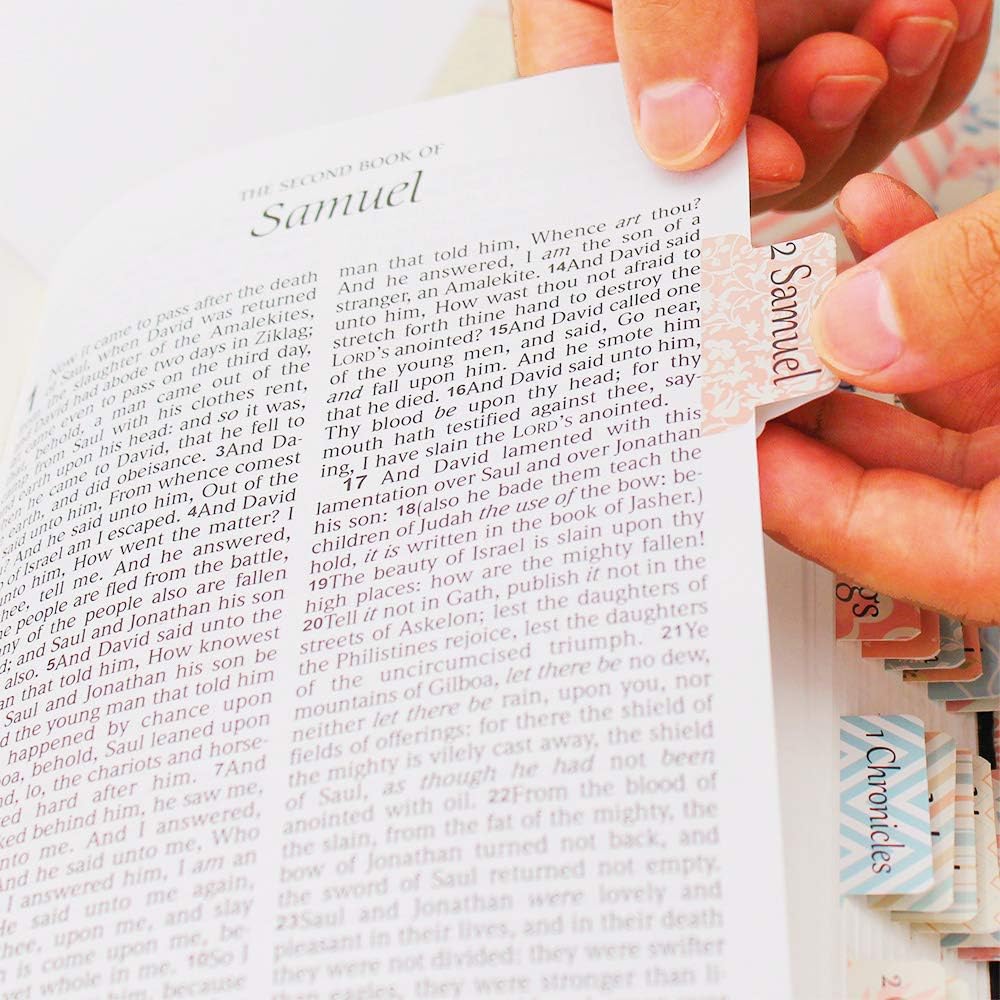 partyGo Personalized Bible Tabs (Double Side Design, Easy to Read), Include 66 Book Tabs and 24 Blank Tabs - Uniform Theme - Pure and Fresh(color1)