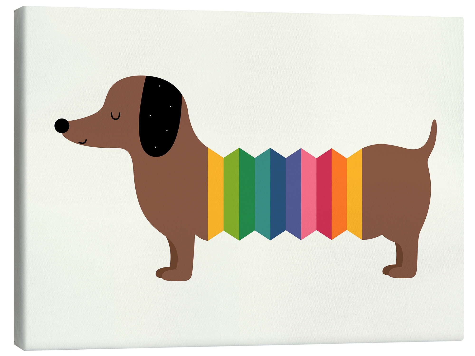 Rainbow Doooog Obraz na płótnie