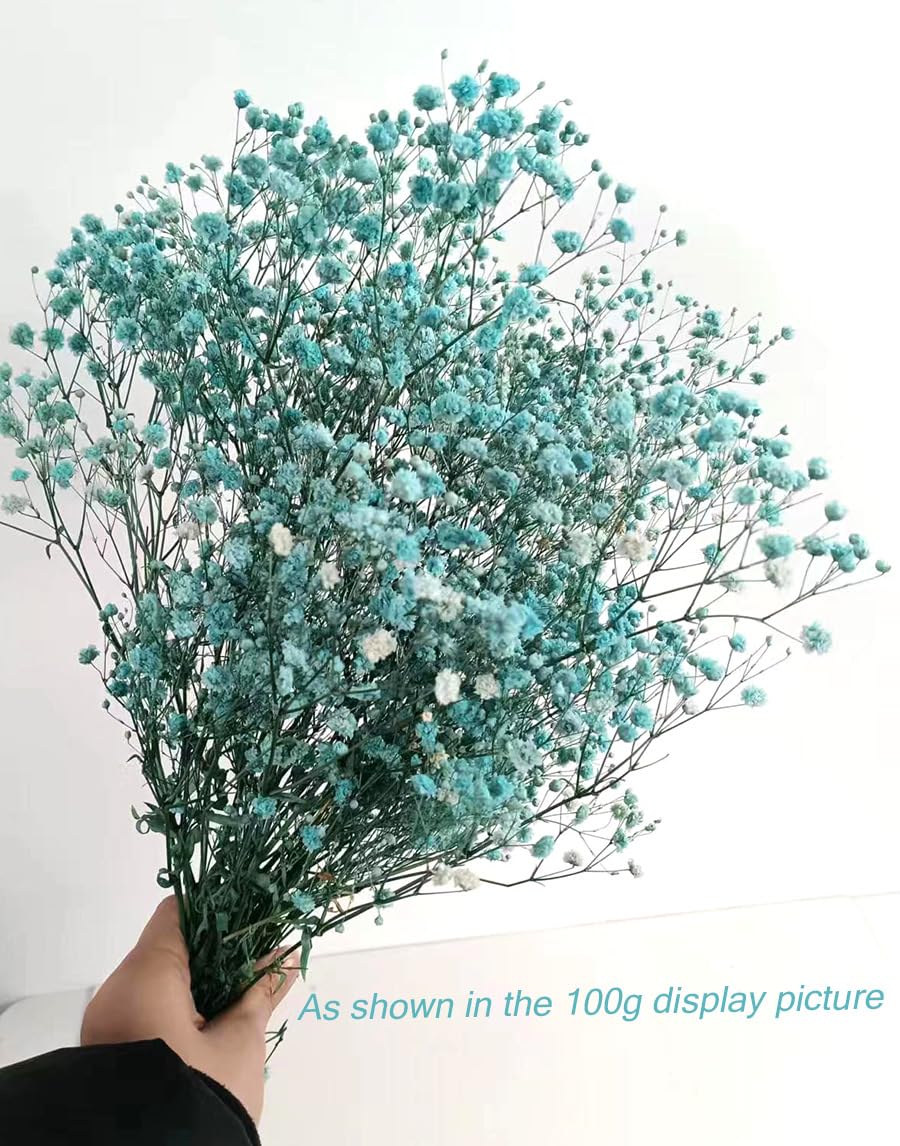 Ramo Gypsophila Seca Morada - Más De 1800 Flores Para Decoración Hogar Y Bodas