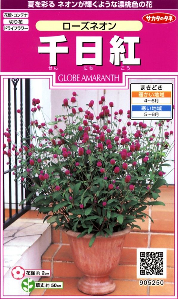 Amazon | サカタのタネ 実咲花5250 千日紅 ローズネオン 00905250 | 花