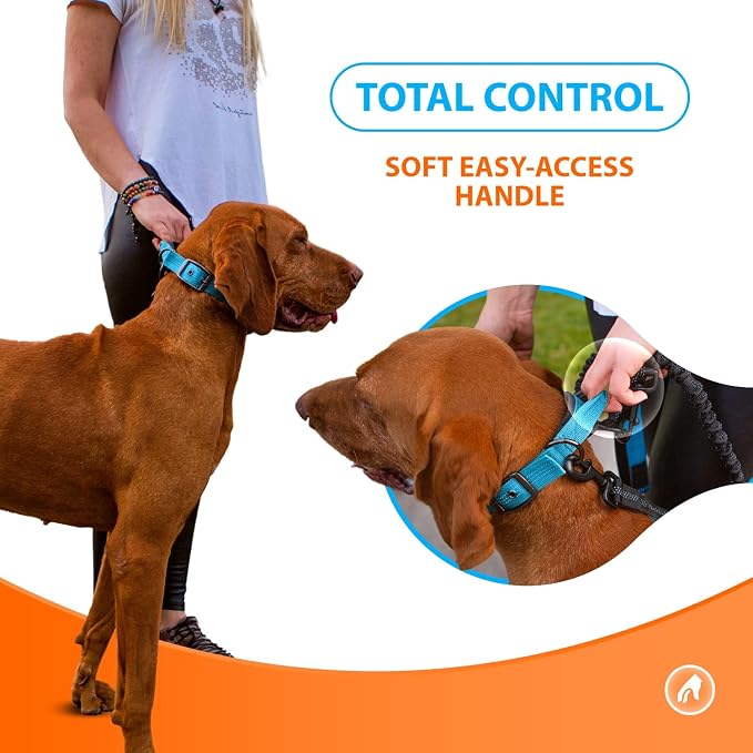 Correa para perro reforzada con asa y reflectante azul tamaño mediano miniatura 4