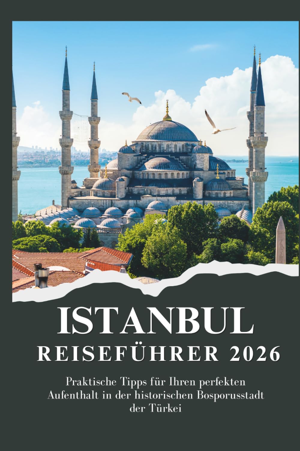 ISTANBUL REISEFÜHRER 2026 - Praktische Tipps für Ihren perfekten Aufenthalt in der historischen Bosporusstadt der Türkei