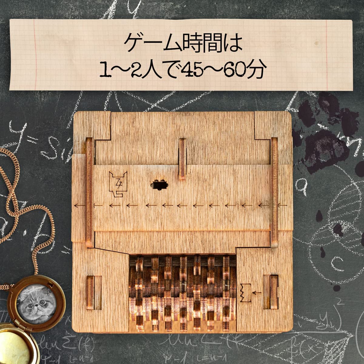 HWコレクターズナショナルズ　スペシャルエディション　スクールバス　ネコバス HWコレクターズナショナルズスペシャルエディションスクールバス