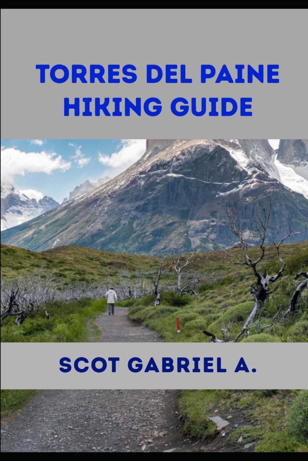 TORRES DEL PAINE HIKING GUIDE (The Explorer’s Hiking Collection)