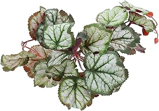 Abaodam 2 Peças Folhas De Paisagismo Folhas Artificiais Decoração De Selva Decoração De Casa Répteis Videiras Plantas Aquáticas Água Grama Répteis Plantas Artificiais Plástico Realista