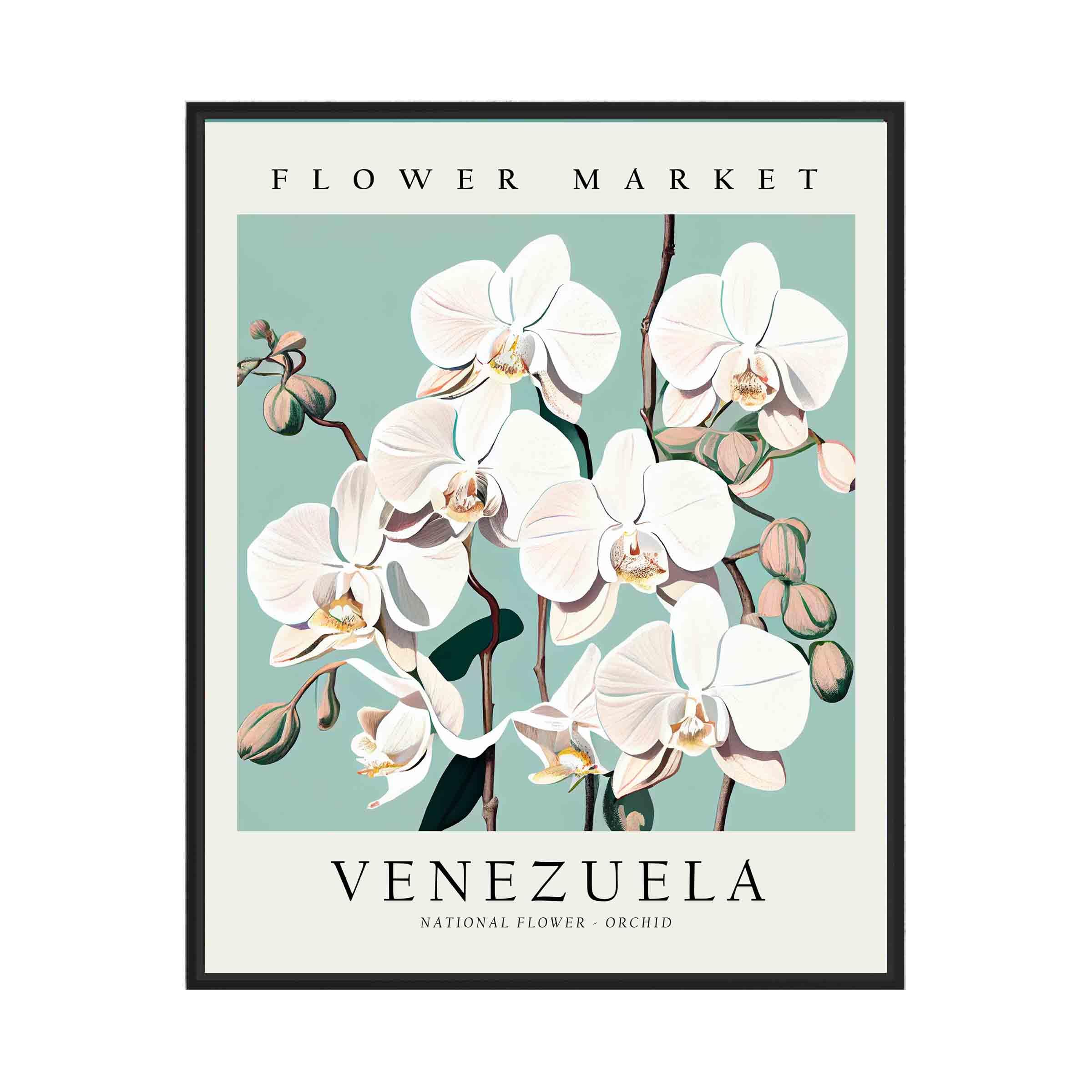 Venezuela, Orchid Flower Market Poster Art Print, Flower Botanical Floral Wall Art Decoration, Flower Decor artwork for Bedroom, Living Room Decor. (11x14 inches (Unframed), Venezuela, Orchid)