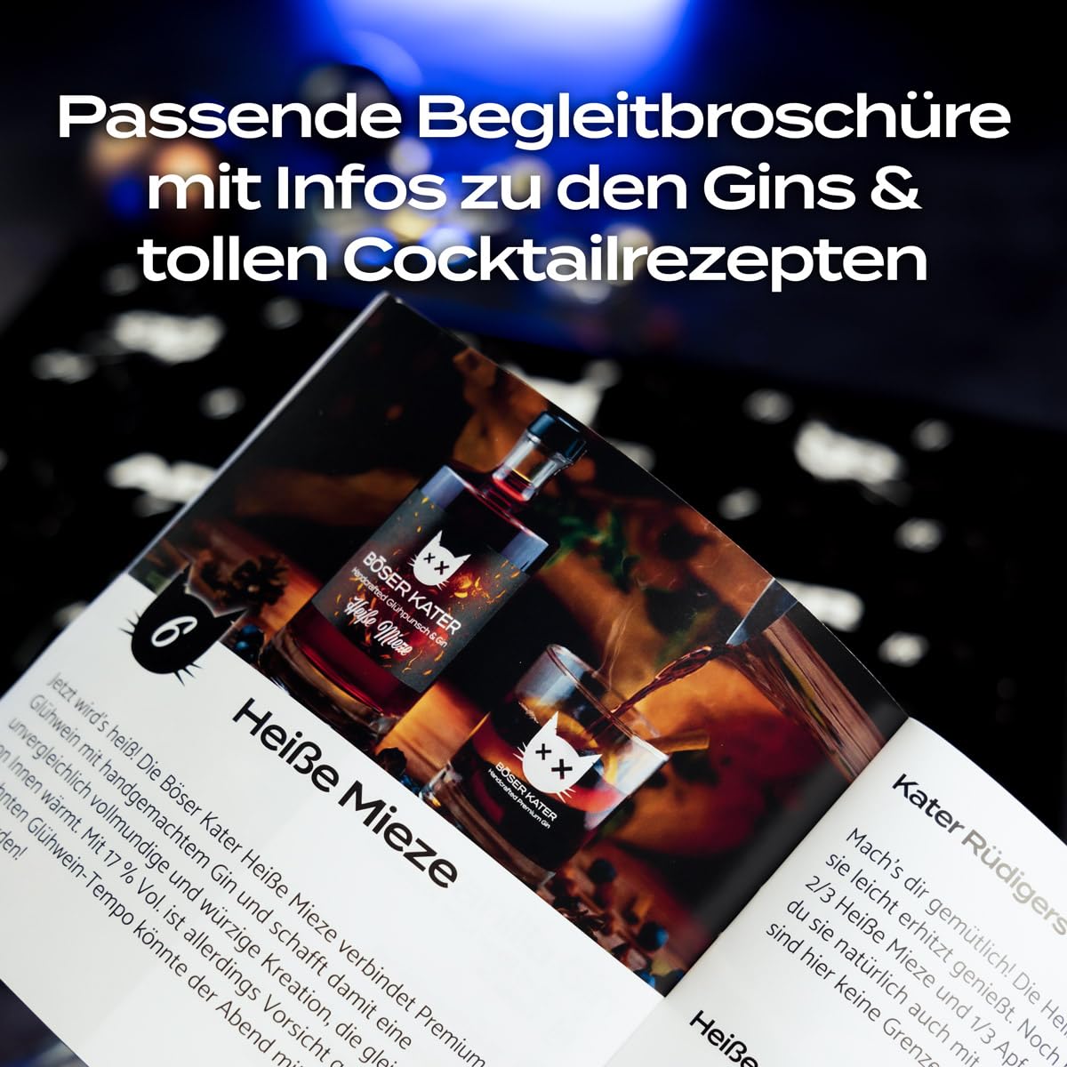 BÖSER KATER Gin Adventskalender | Die perfekte Geschenkidee | Weihnachtskalender für Katzen- und Gin-Liebhaber | Limitierte Auflage | 24 spannende Türchen mit außergewöhnlichen & exklusiven Sorten