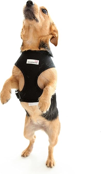 doodlebone airmesh harness