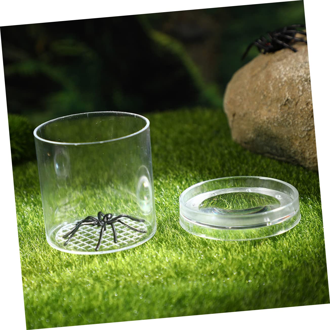 Caja de Observación de Insectos Portátil de Plástico 20 Piezas | Orificios de Renovación de Aire, para Flores y Rocas, Formato Compacto para Exploración