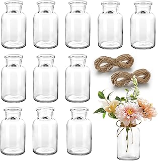 Otauoaea Pack of 12 Mini Glass Vases, 130 ml Small Vases for Table Decoration, Wedding Decoration Vases Set with 2 x 8 m Jute Cord, Small Glass Vases, Glass Bottles, Table Decoration Centrepieces
