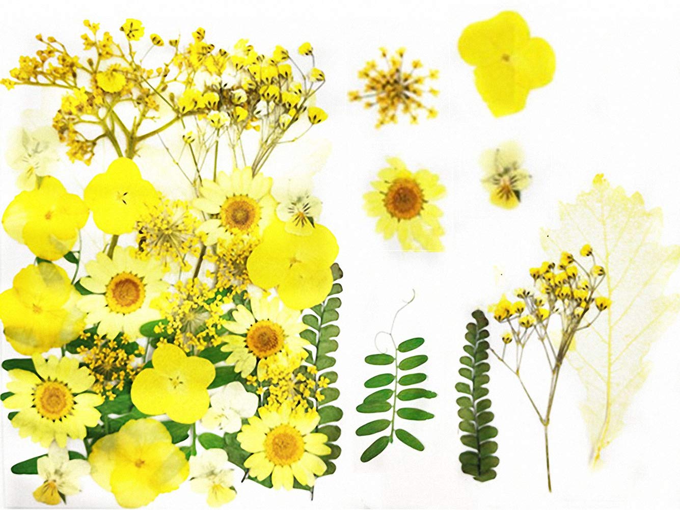 31pcs Dried Pressed Flowers Leaves Real Natural DIY Color Candles Decorative Resin Jewelry Pendants Handicraft Art Nail Phone Case Facial Makeup Mixed Decorative Flower Petals