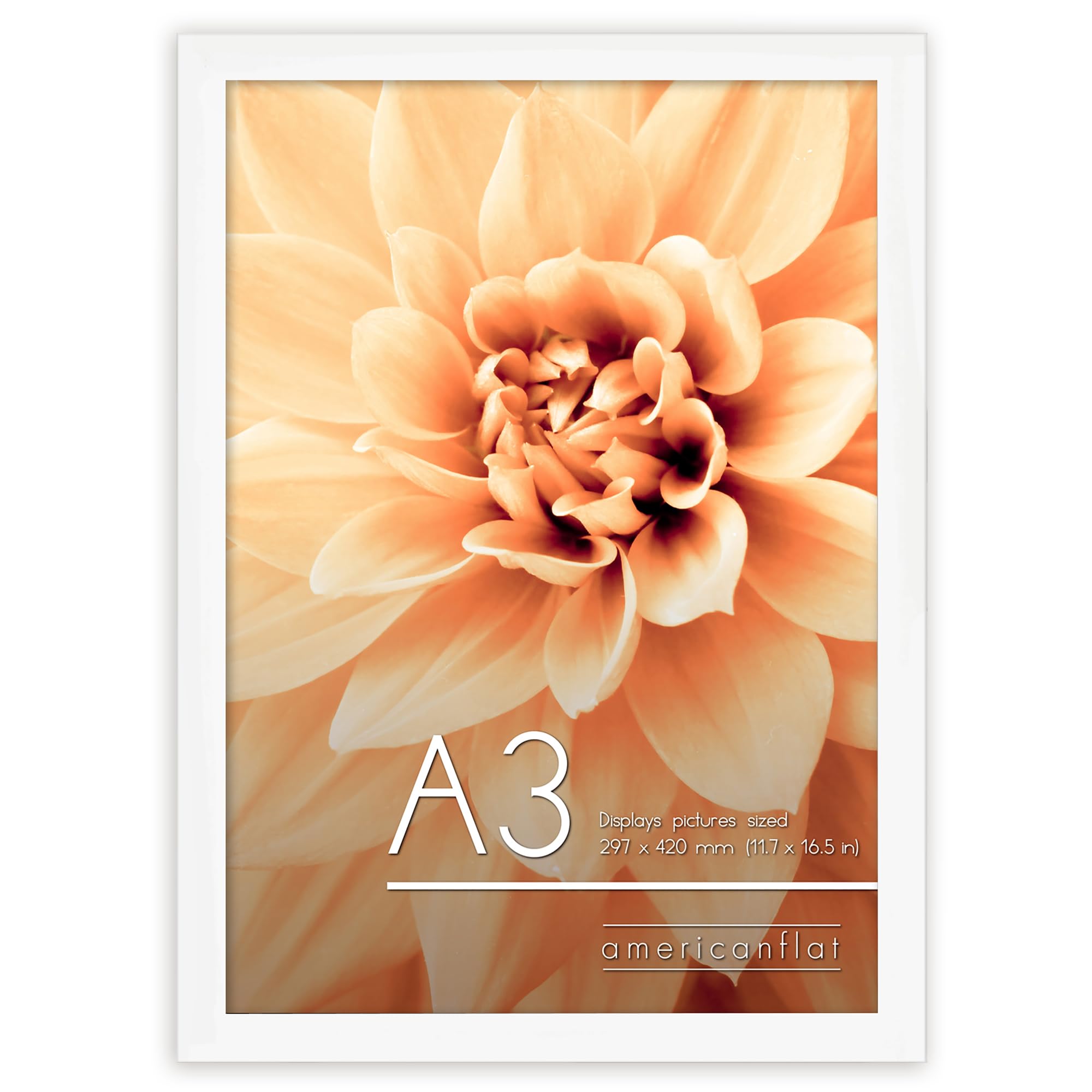 Americanflat A3 Picture Frame in White - Engineered Wood with Shatter Resistant Glass - Horizontal and Vertical Formats for Wall - 29.7x42 cm