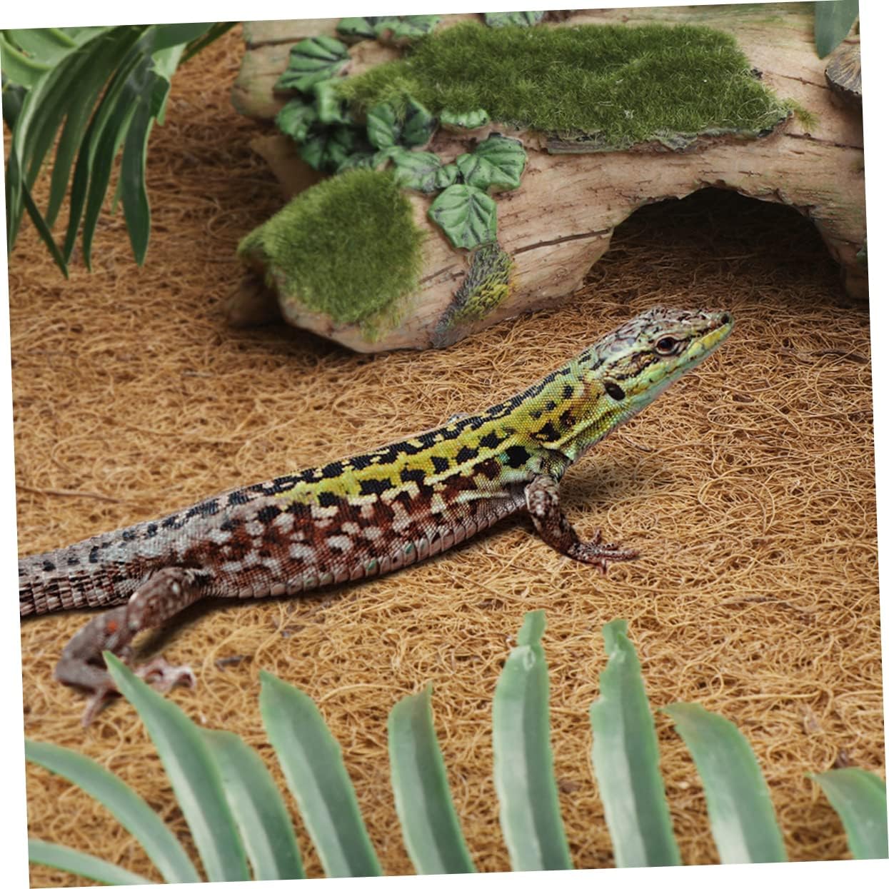 Coconut Fiber Reptile Carpet Turtle Bedding Lizard Tank Accessories Thermal Insulation Pad for Tortoise Substrate Easy Cleaning Soft Mat for Reptile Terrarium
