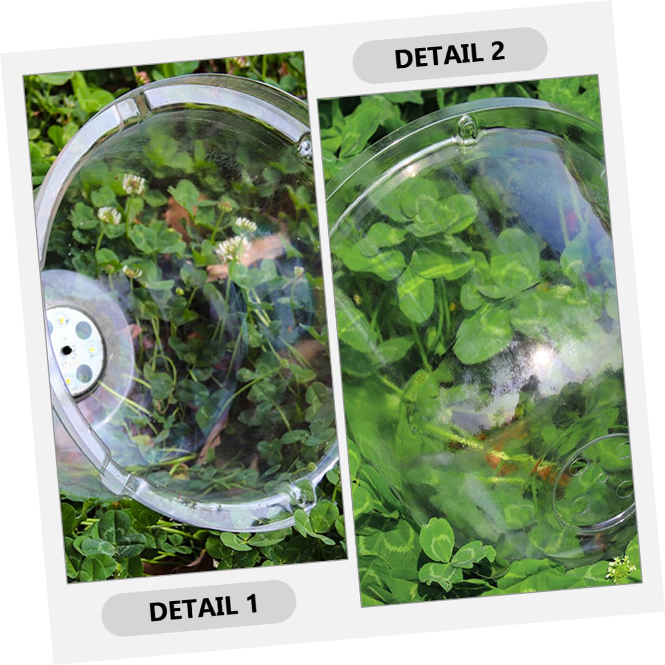 Abaodam 6pièces Cloche Plastique pour Plantes De Jardin Cloches De Protection Gel pour Plantes Extérieur