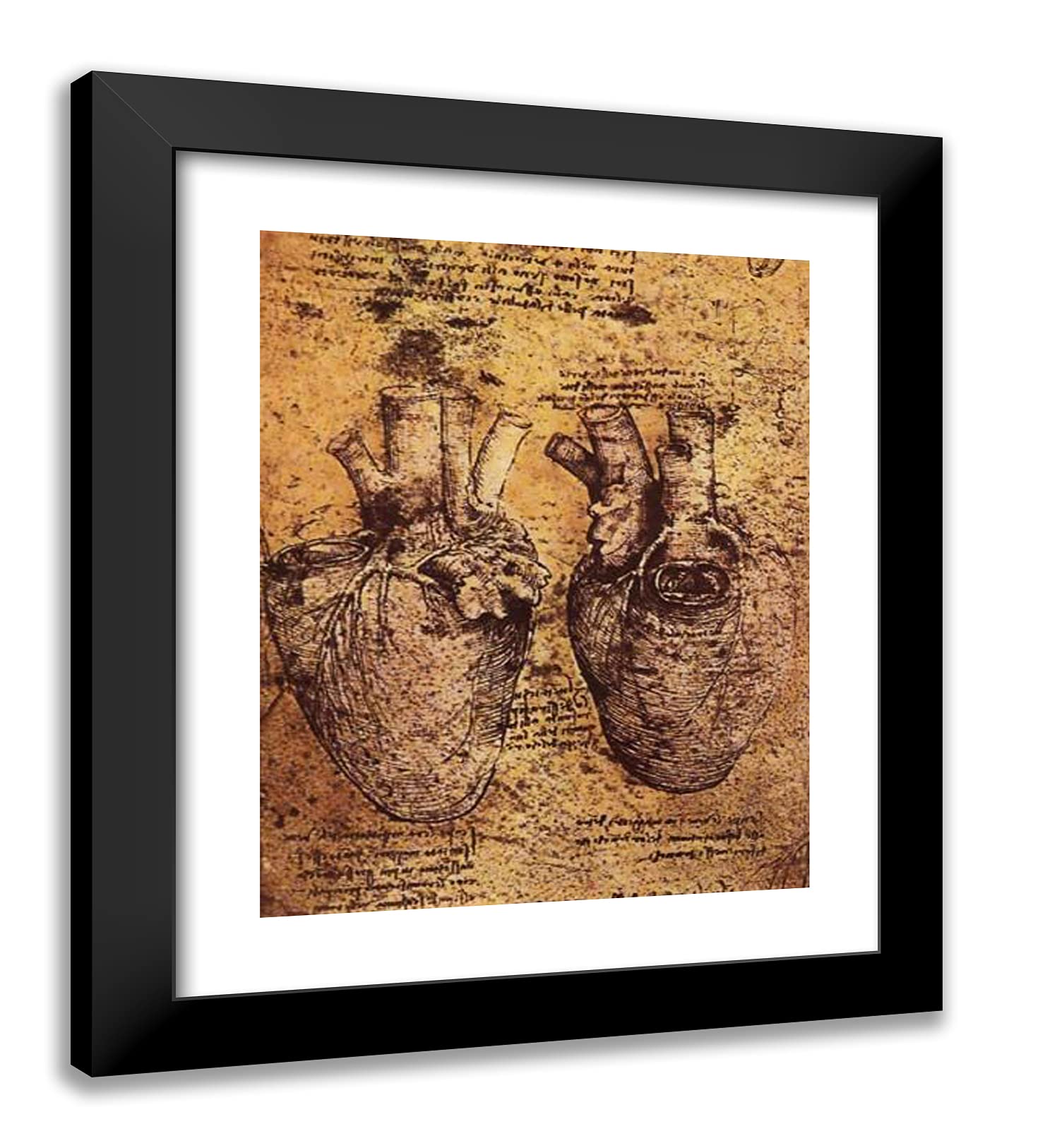 ArtDirect Da Vinci, Leonardo 20x23 Black Modern Framed Art Print Titled: Drawing of The Heart and its Blood Vessels, from The Anatomical Notebooks