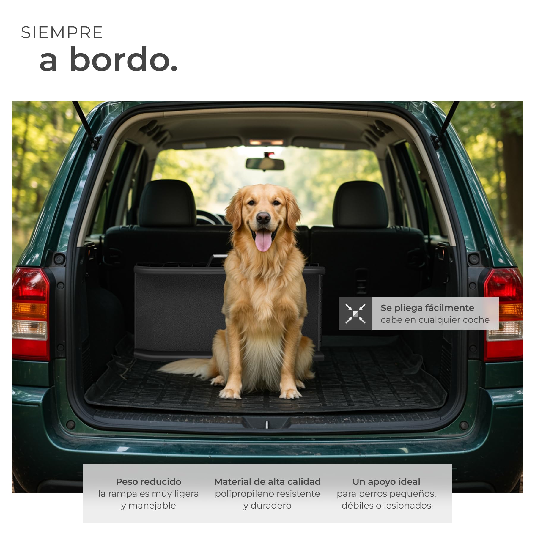 tectake® Rampa para Perros Plegable y Antidelizante, Rampa de Coche para Perros hasta 90kg, con Correas para Transporte y Carriles Guía, Resistente, para Cama y Sofá, Escalera para Perros, 155x40x14cm