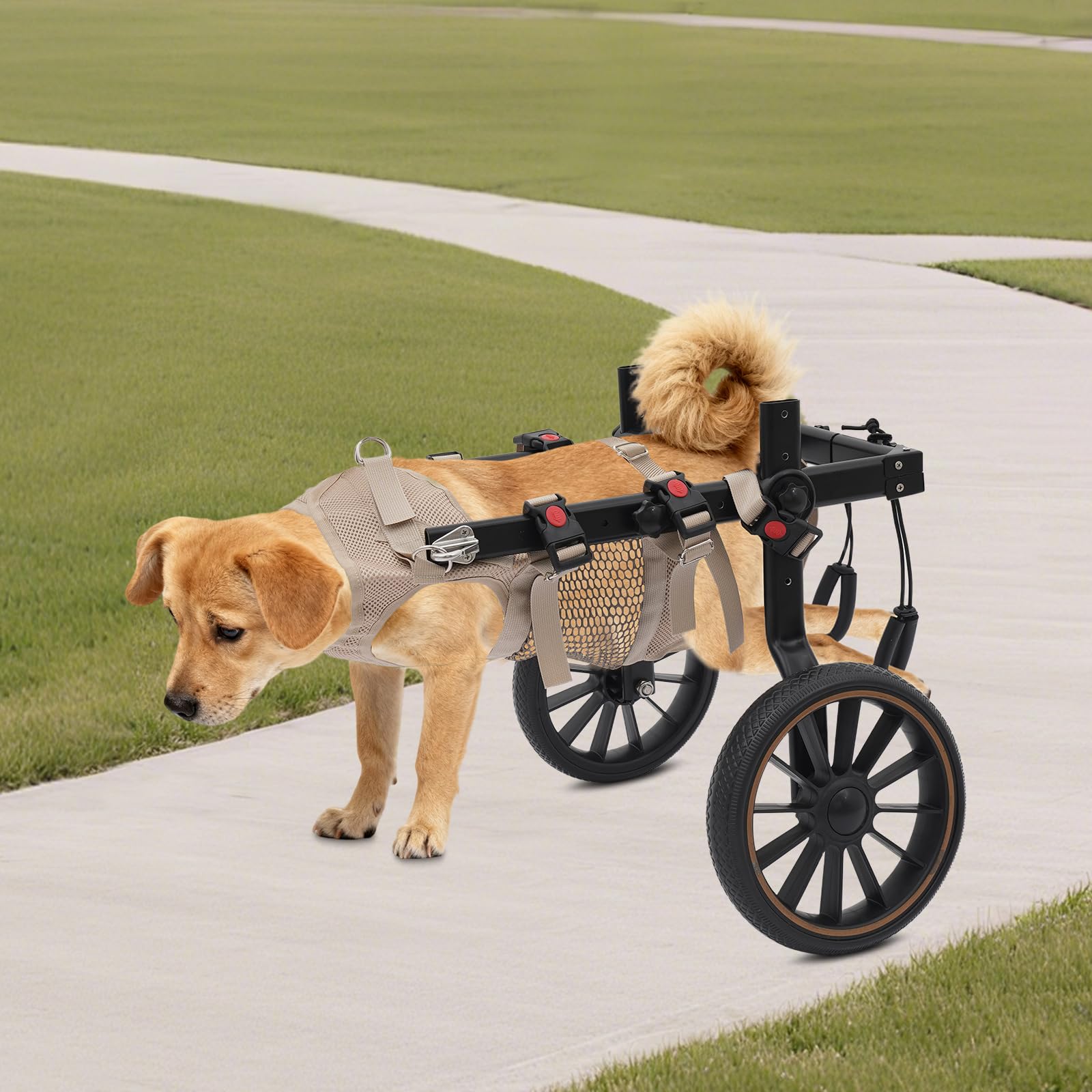 Silla de ruedas ajustable de aluminio Talla L para patas traseras de perro grande, ruedas amortiguadoras para mascotas con debilidad en las extremidades traseras