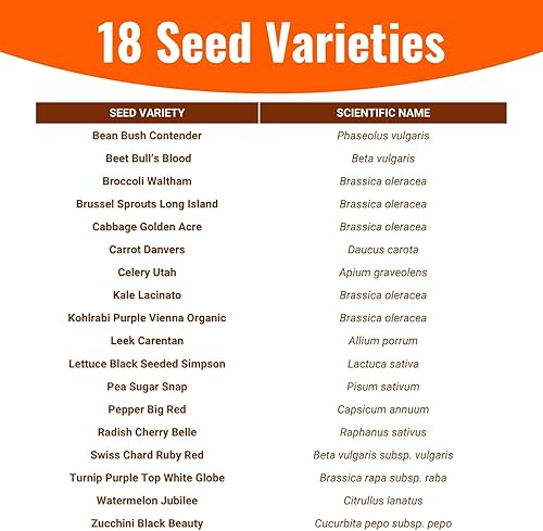 Vista 3 de Survival Gear, 15.000 semillas orgánicas Heirloom sin OMG, semillas para plantar verduras y frutas Comida de supervivencia para tu kit