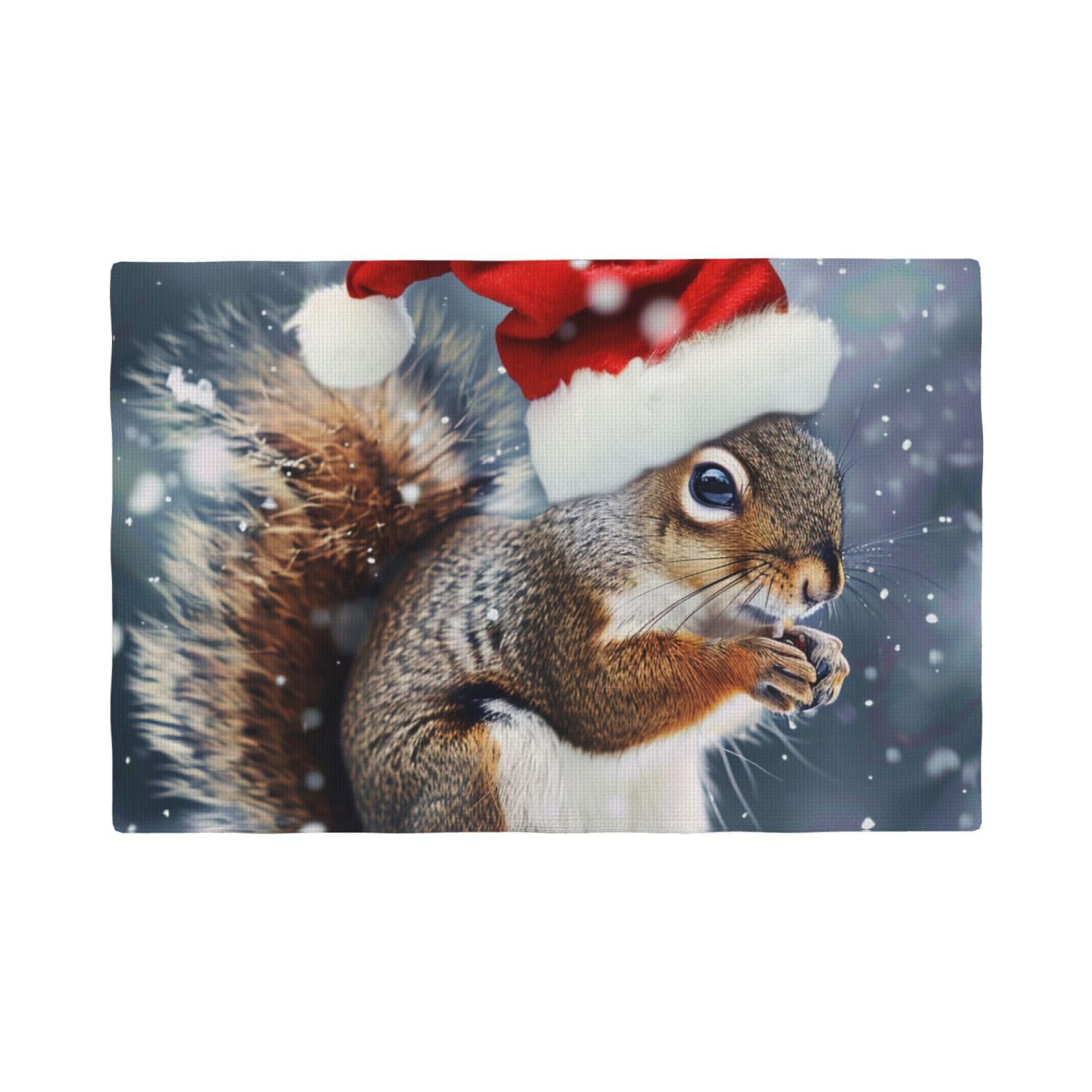 Christmas squirrel Print Placemats Set, Heat Resistant Washable Placemat 12x18in Table Mats for Party Kitchen Dining Table Decoration Indoor Outdoor, Six Piece