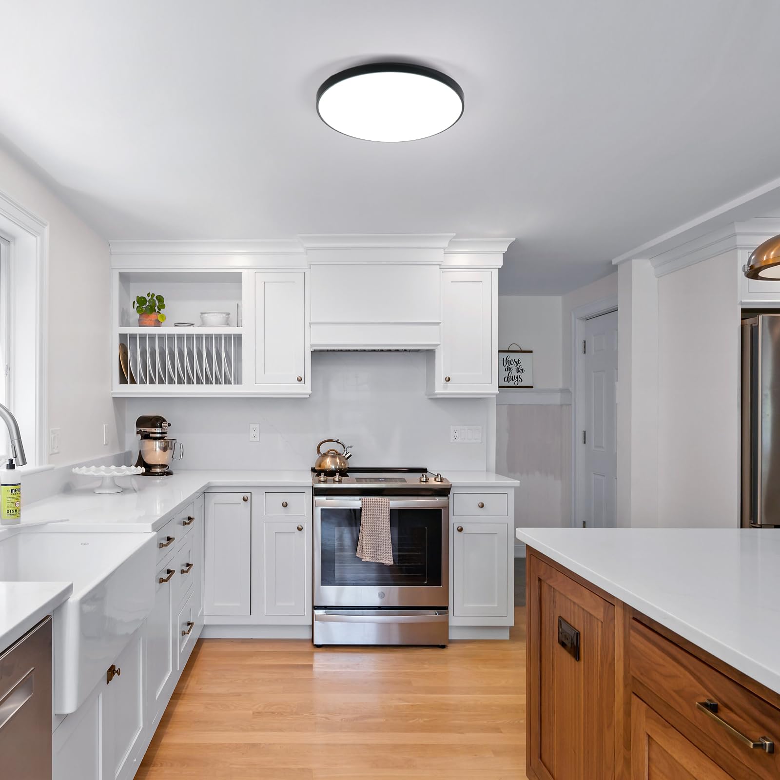 2 Piezas Plafon LED Techo 24W, Lampara de Techo Blanco Frío 6500K
