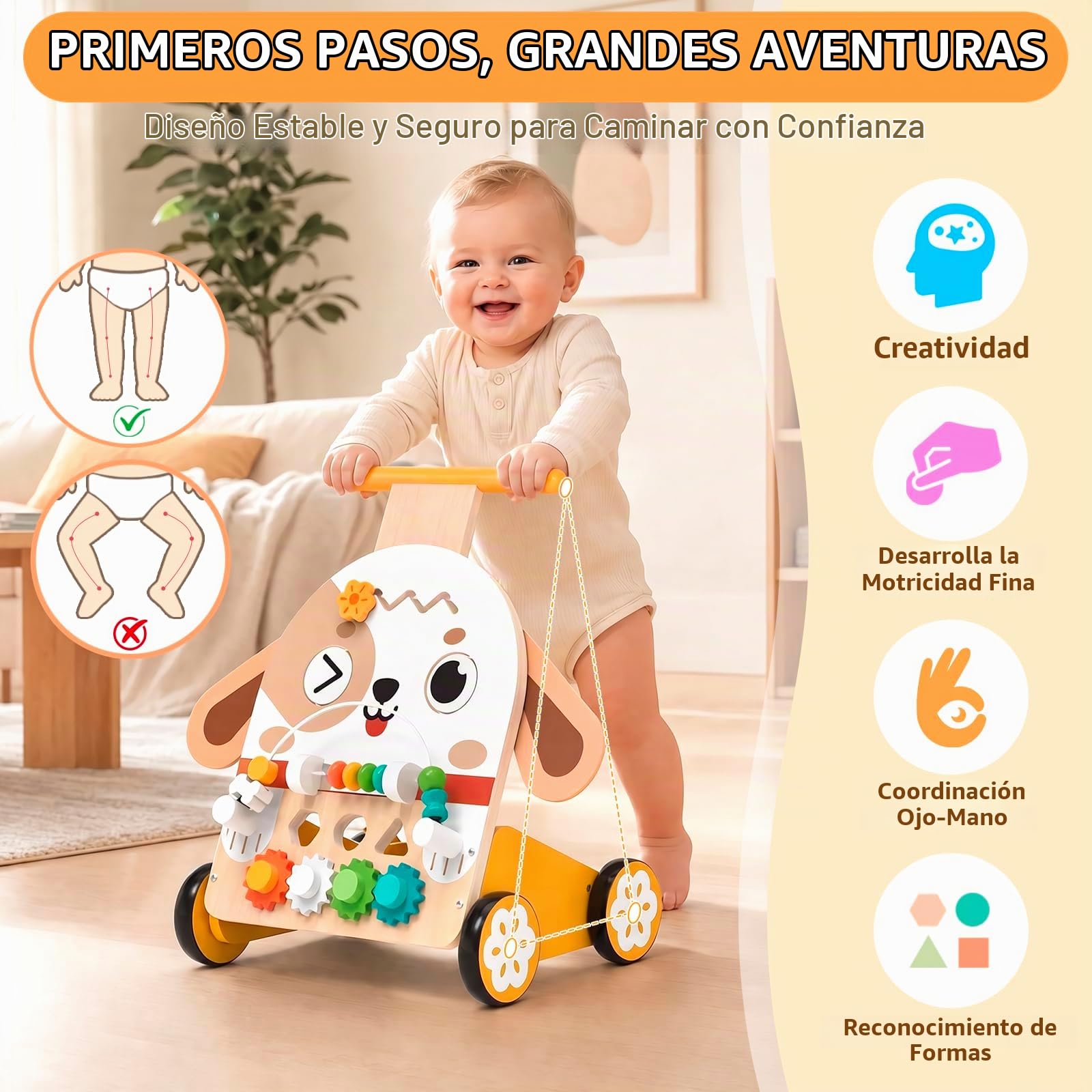 Andador de Madera Perro Montessori 6 en 1, Correpasillos