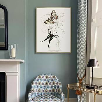 Amazon.com - FOLKOR Floating Frame for 24x32 Canvas