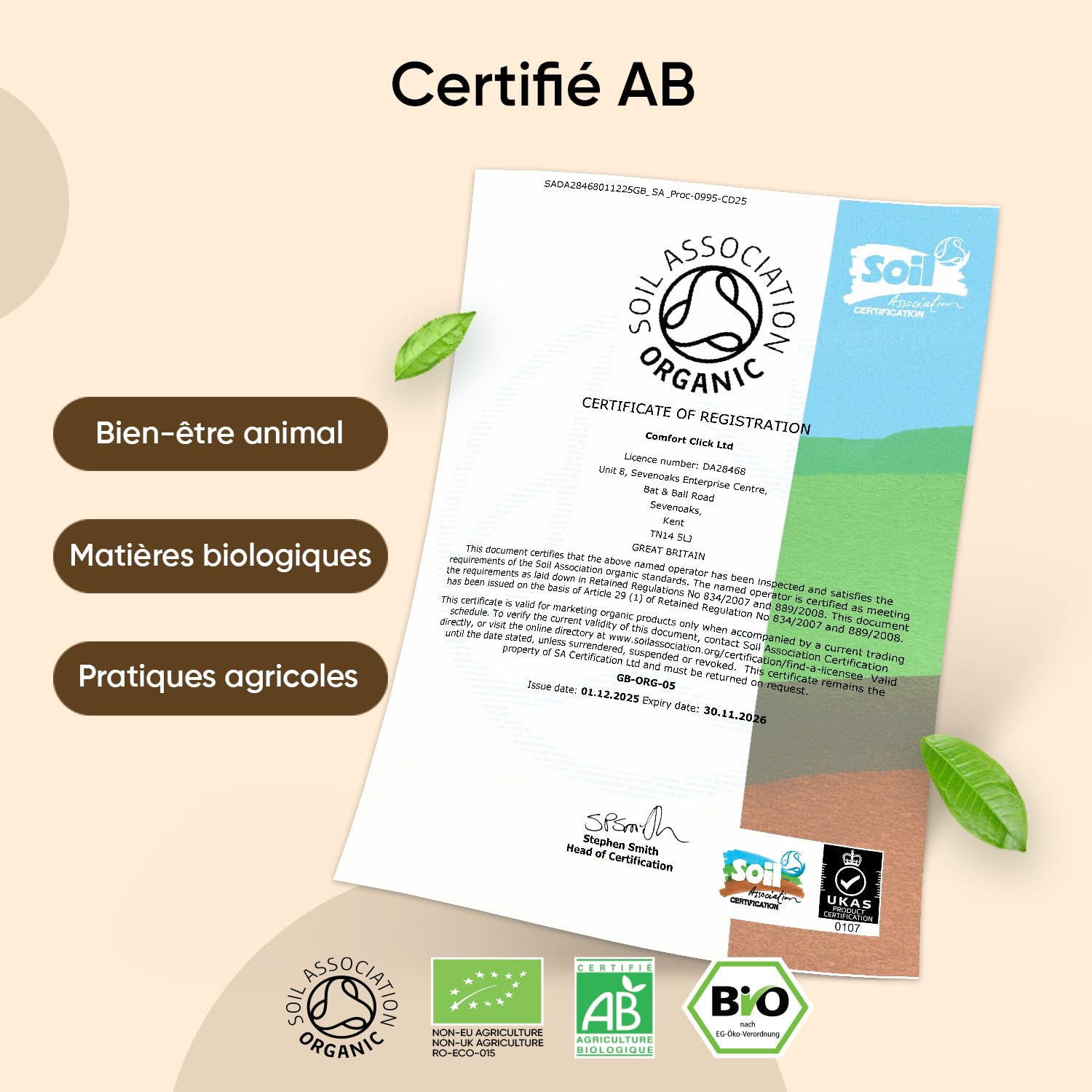 Complexe 8 Champignons Bio 180 Gélules Vegan Certifié AB - Reishi, Lions Mane, Cordyceps, Chaga, Shiitake, Maitake, Huître, Coprin, Champignons Gélules Enrichi en Curcuma et Gingembre pour 3 Mois