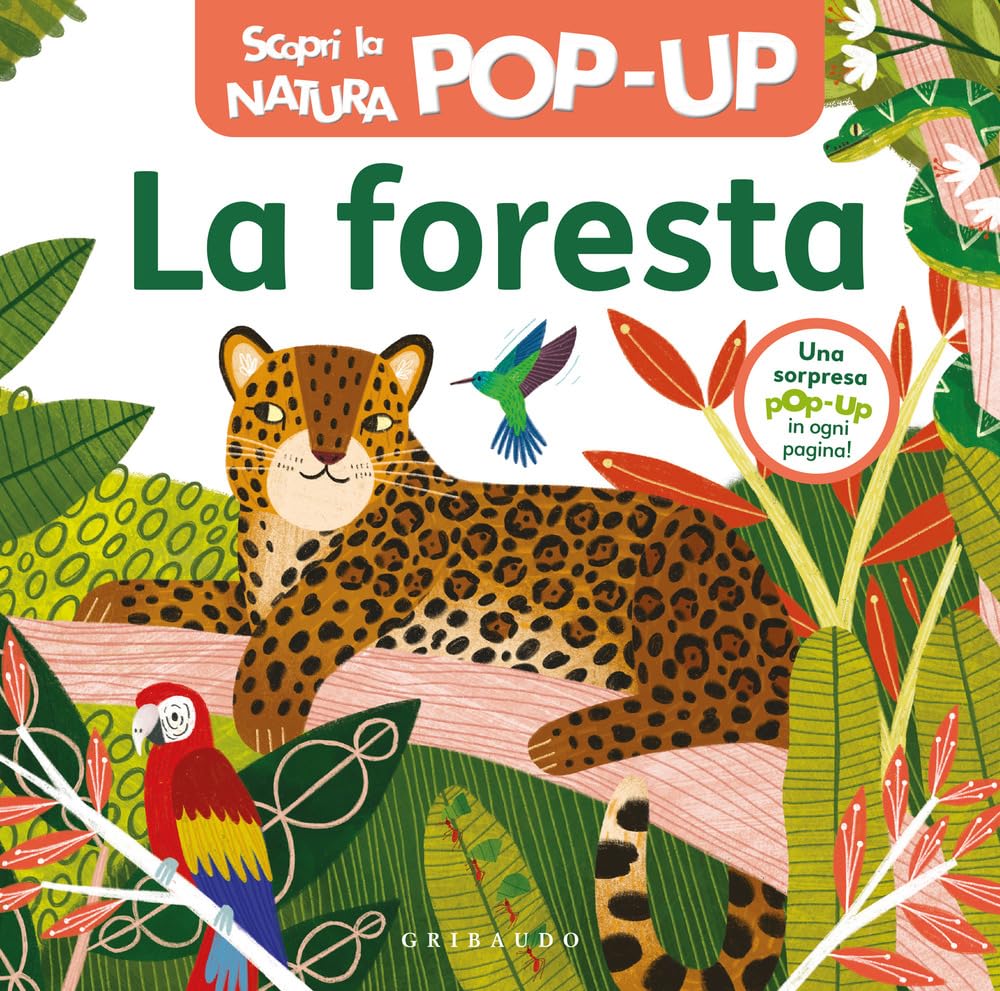 La Foresta. Scopri La Natura Pop-Up. Ediz. A Colori - 4