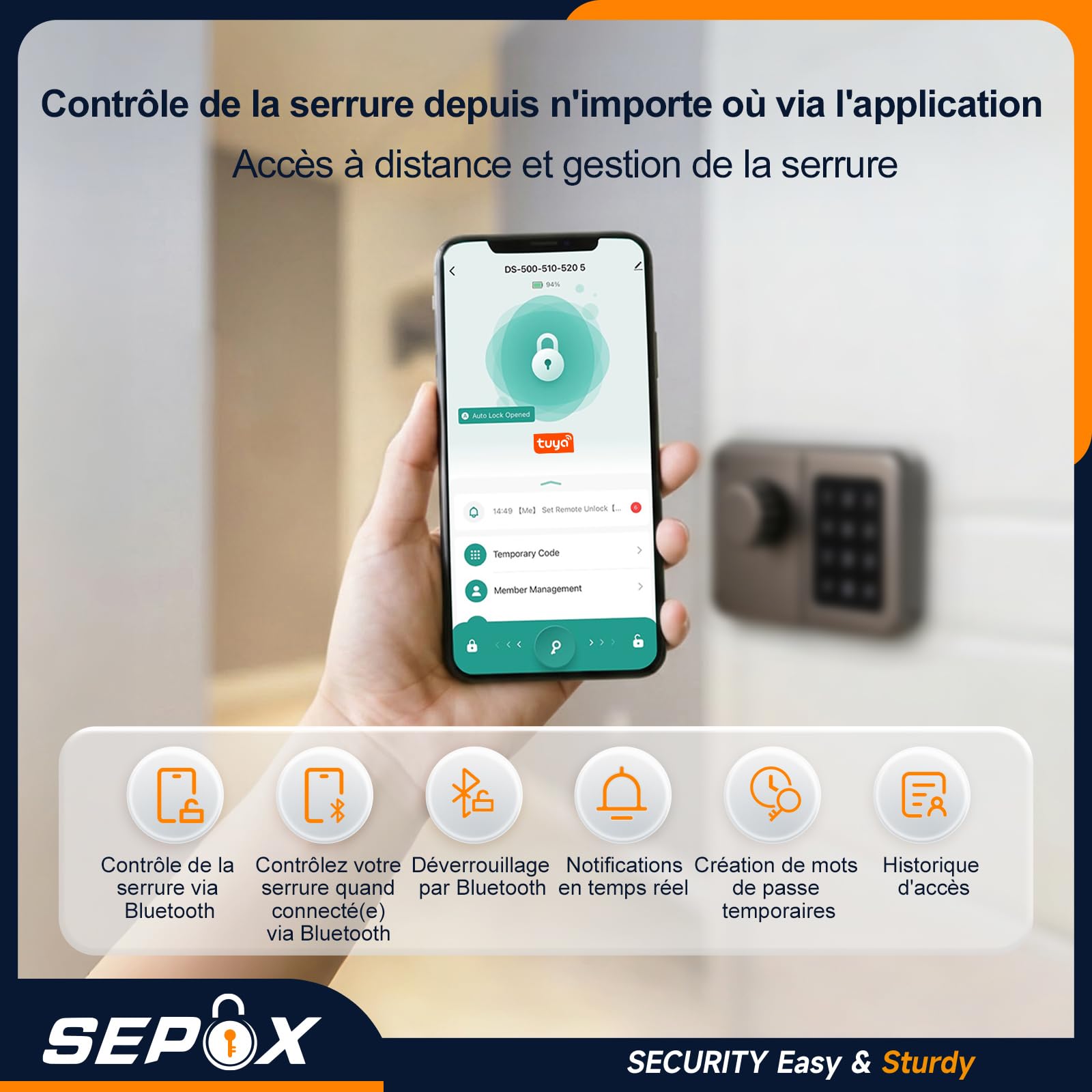 SEPOX Serrure Connectée Bluetooth Porte D’Entrée, Digicode, Clavier Tactile, Tuya, Sans Clé, Style Rétro, Pour Maison Appartement Bureau (Gris anthracite, Écran unique)
