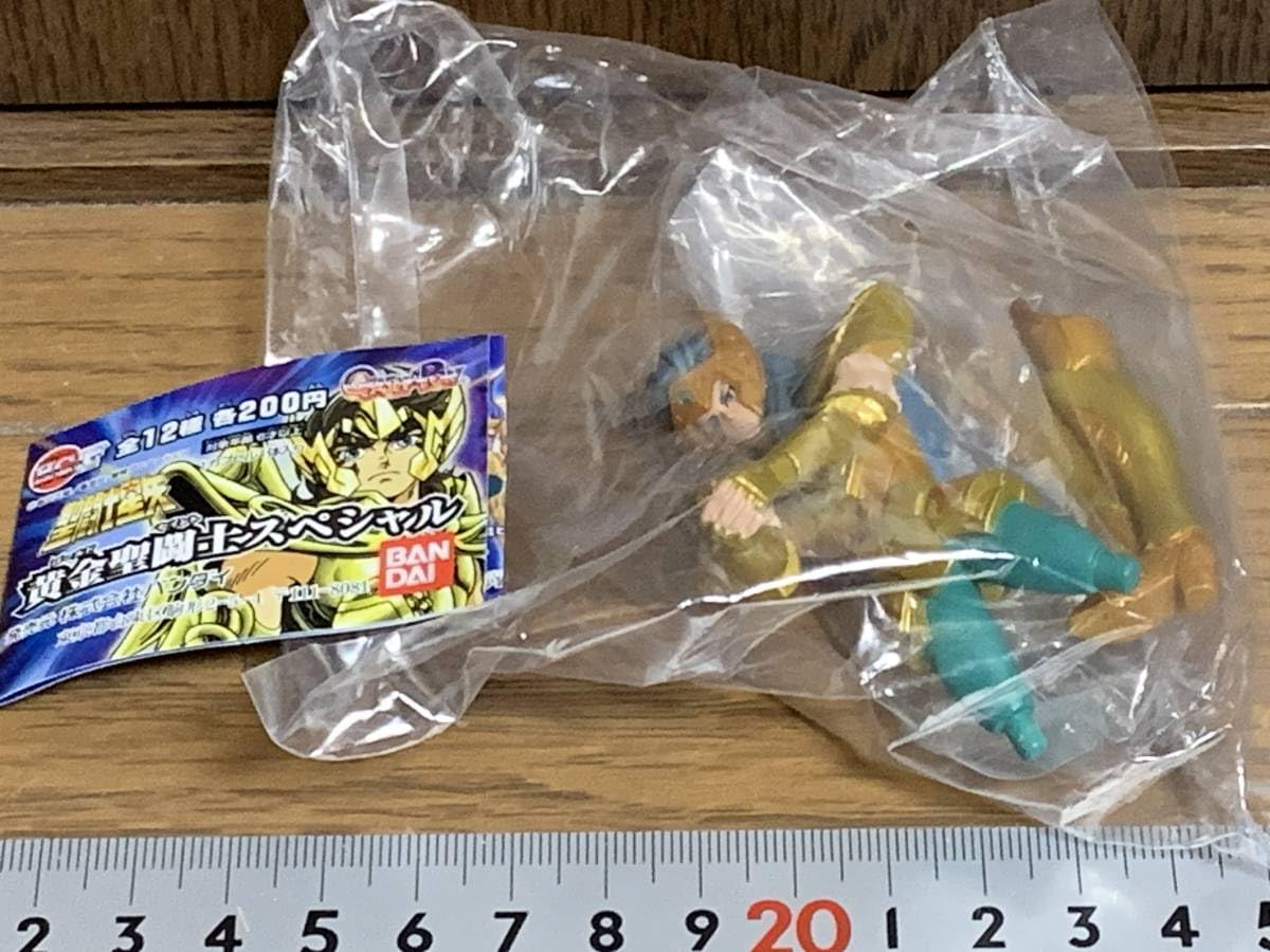 Amazon.co.jp: 水瓶座のカミュ 聖闘士星矢 ～黄金聖闘士スペシャル