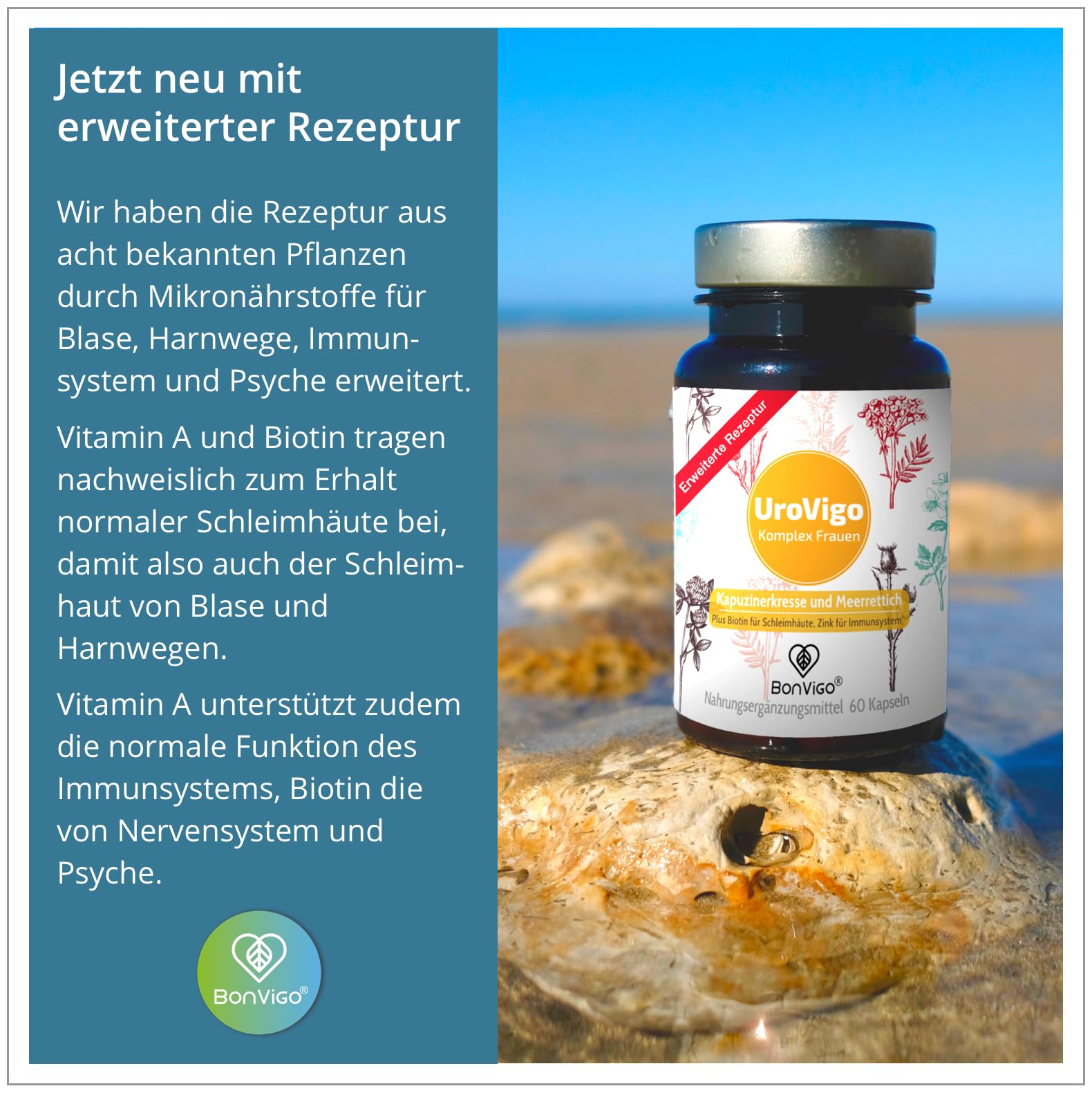 UroVigo FÜR DIE FRAU - Biotin & Vitamin A unterstützen Schleimhäute, Zink das Immunsystem - 8 Pflanzen-Komplex mit Kapuzinerkresse Meerrettich Cranberry Liebstöckel - Mit L-Methionin - 60 Kapseln