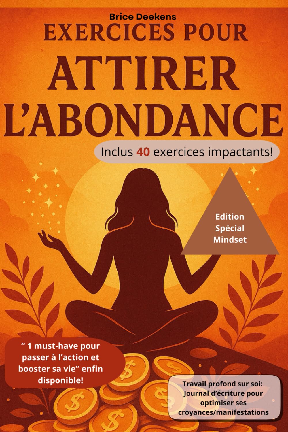 EXERCICES POUR ATTIRER L'ABONDANCE: Edition spéciale mindset