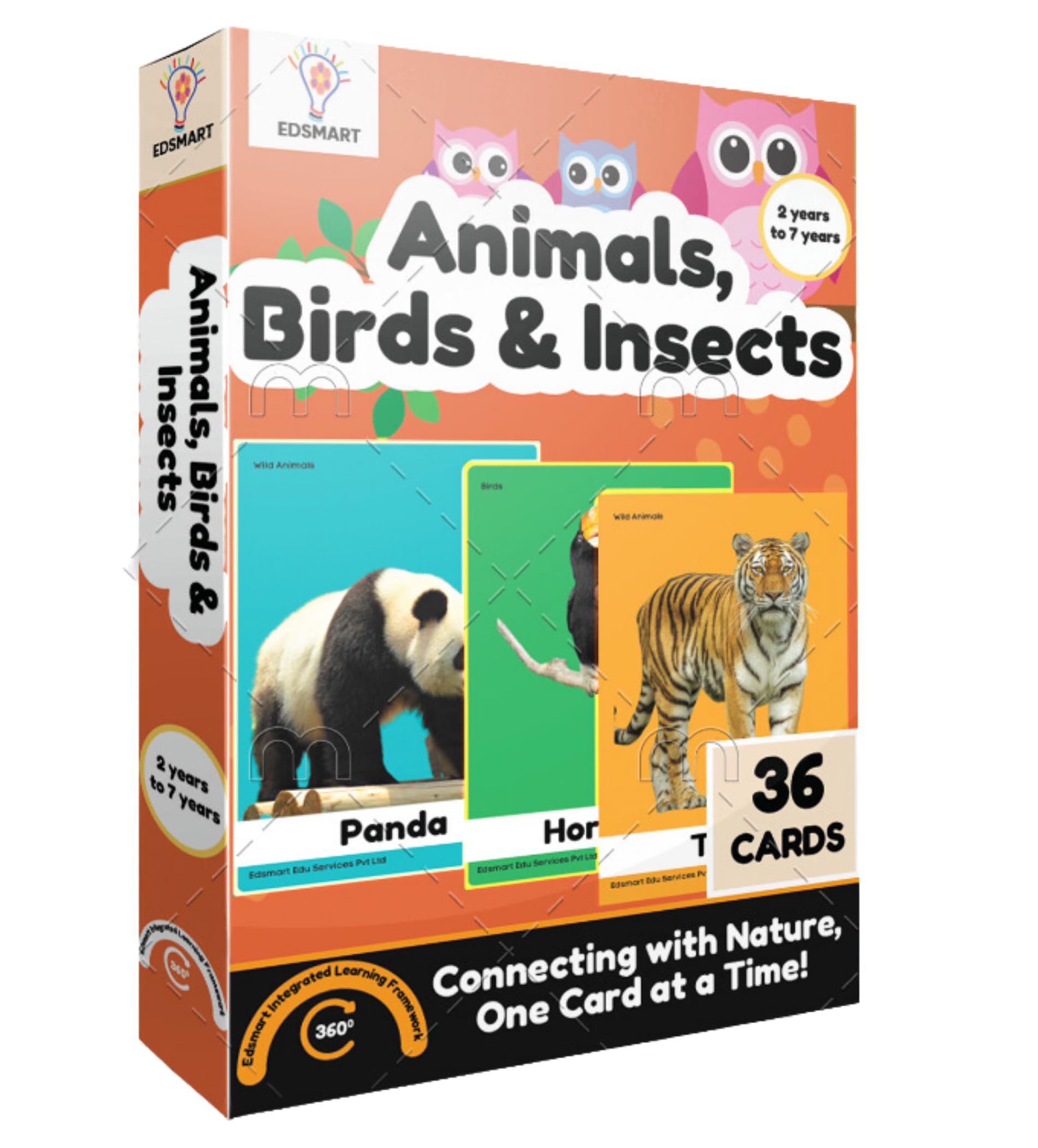 Edsmart Thick Flash Cards for Toddlers & Preschool Learning for Kids 1, 2, 3, 4 Years| Letters, Numbers, 100+ Words |Montessori Toys & Games (Animals Birds and Insects) (B0CLZLGMMJ) Amazon Price History, Amazon Price Tracker