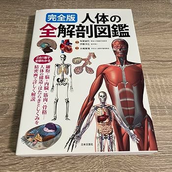 【まとめ売り】原色人体解剖図鑑　7種15個セット 人体解剖図鑑1