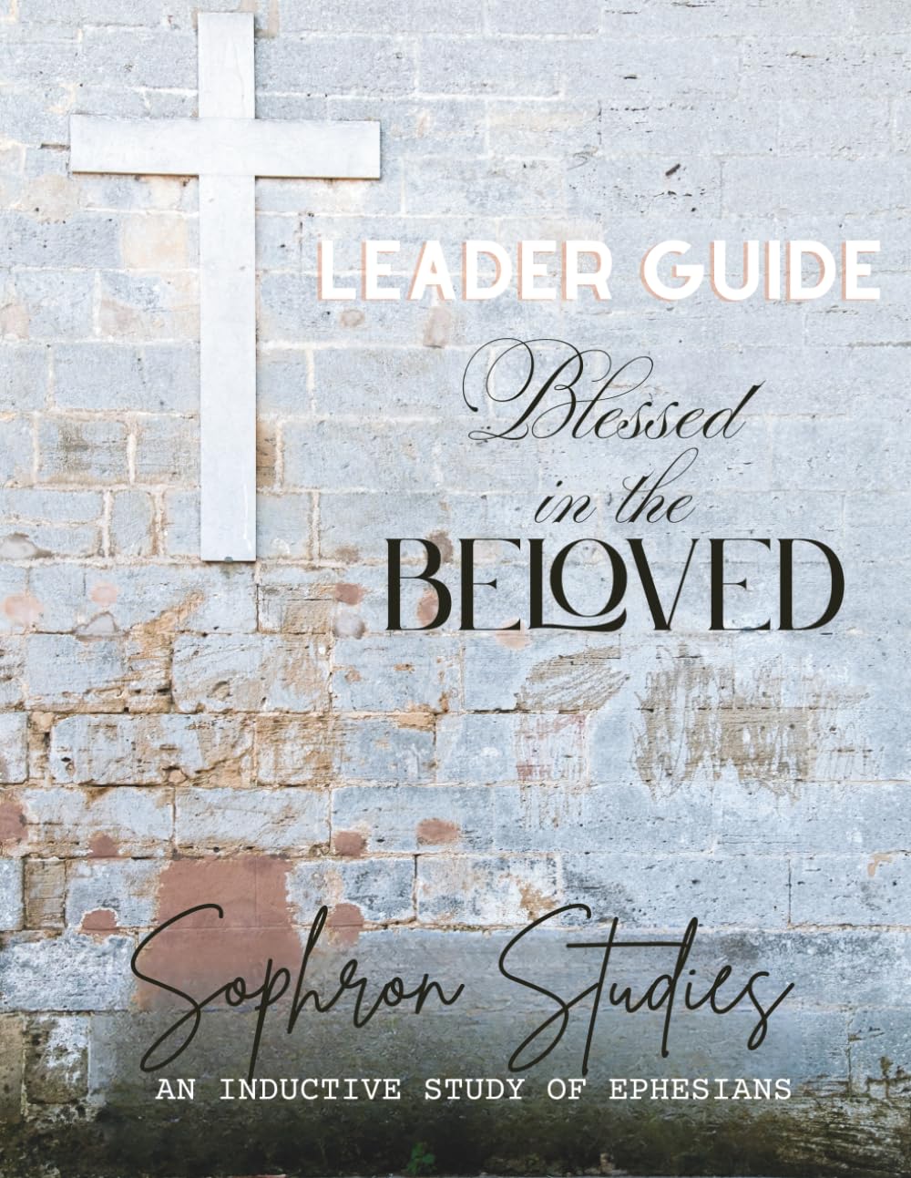 Blessed in the Beloved: Leader Guide: An Inductive Study of Ephesians