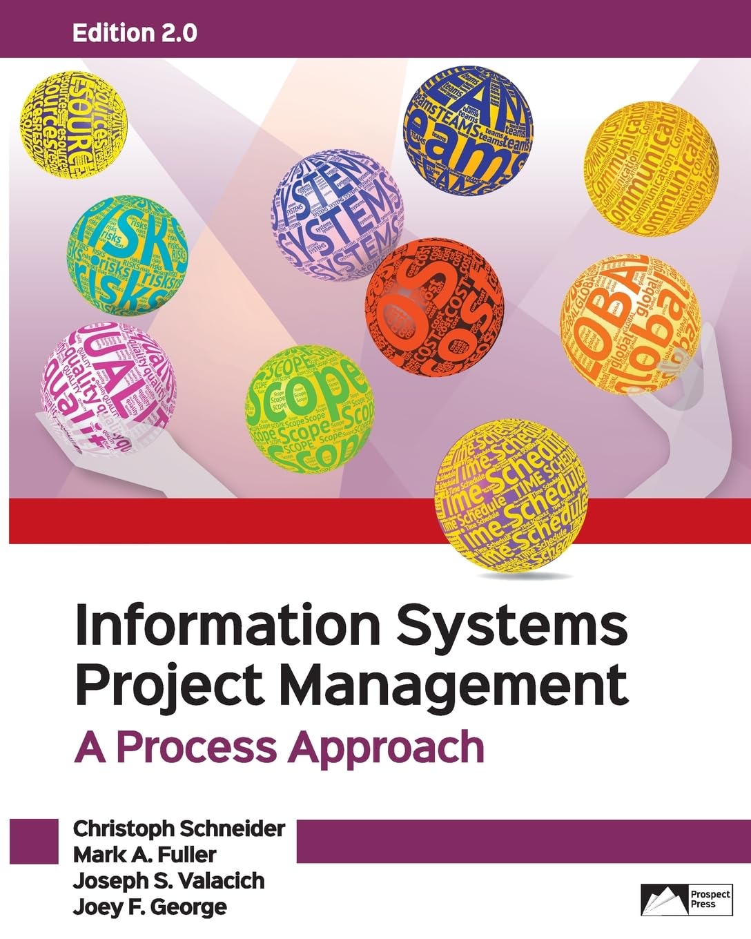 Information Systems Project Management: A Project Approach, Edition 2.0