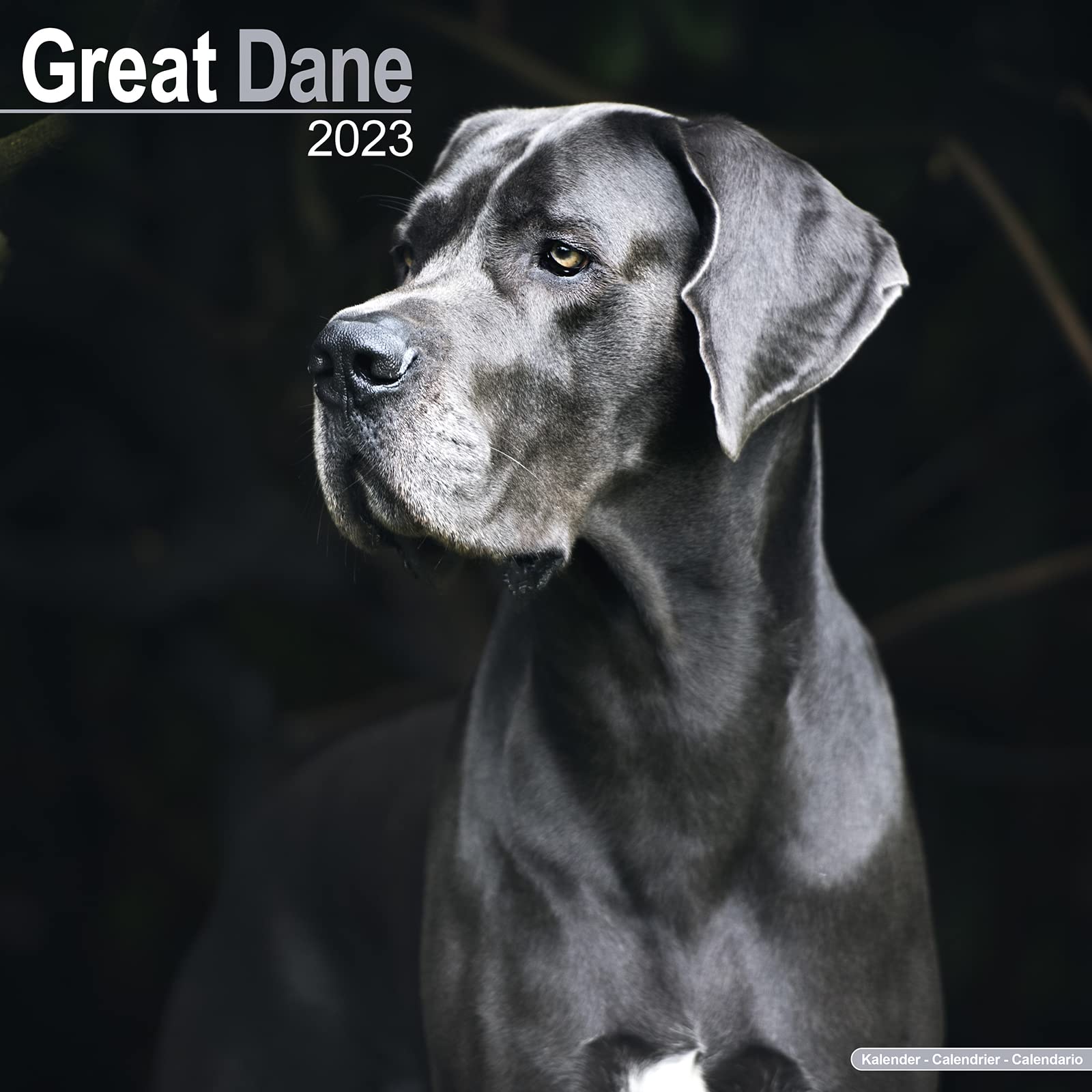 Great Dane Calendar Dog Breed Calendars 2022 2023 wall calendars