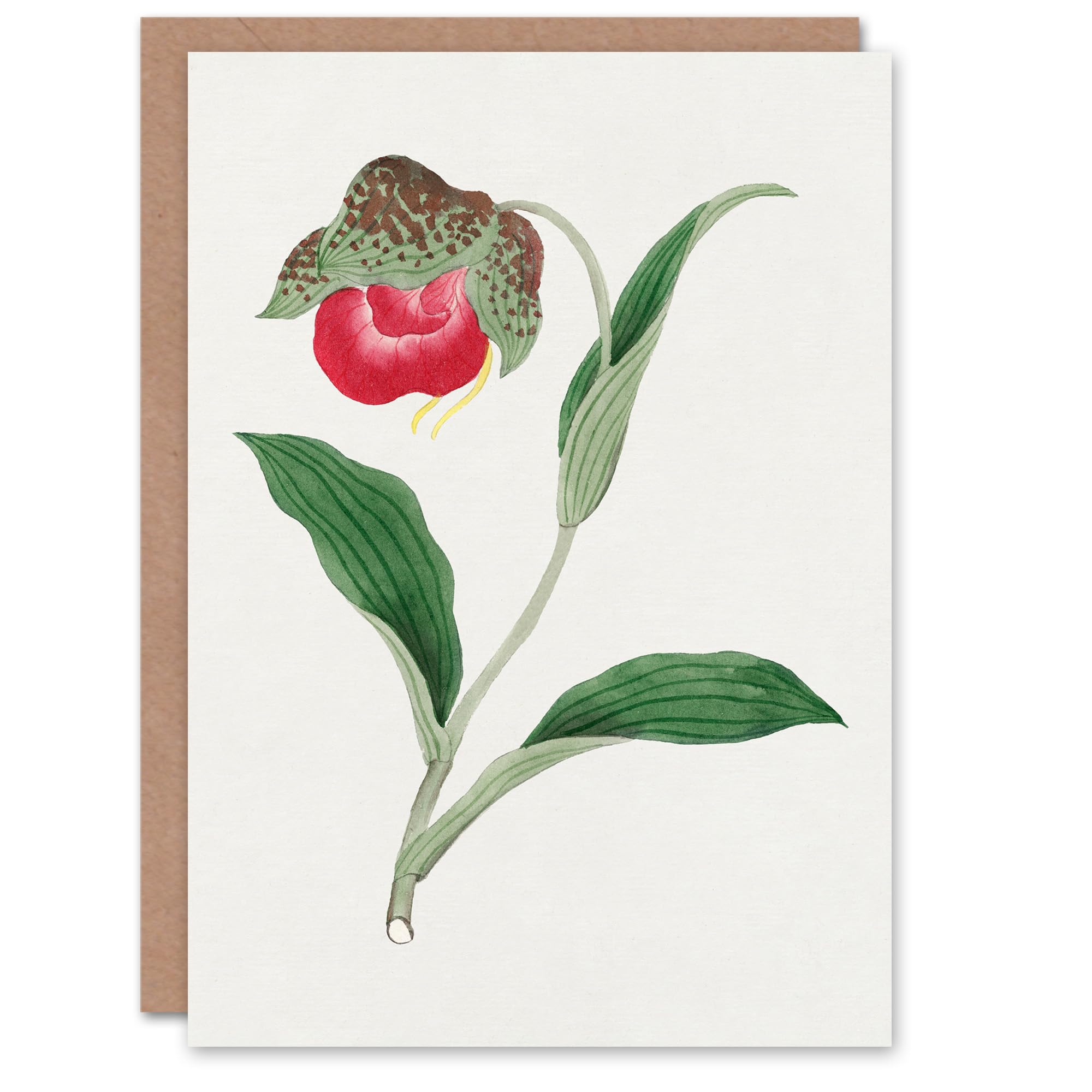 Artery8 Vintage Japanese Botanical Art Card Orchid Flower