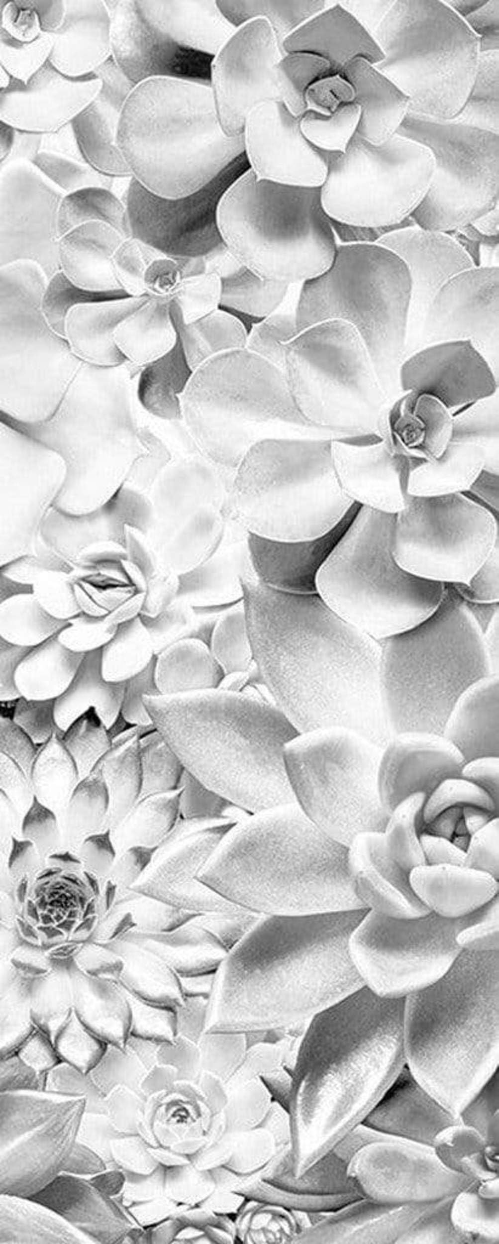Komar P962-VD1 Non-Woven Photo Wallpaper, Shades Black and White Panel, Size 100 x 250 cm (Width x Height)