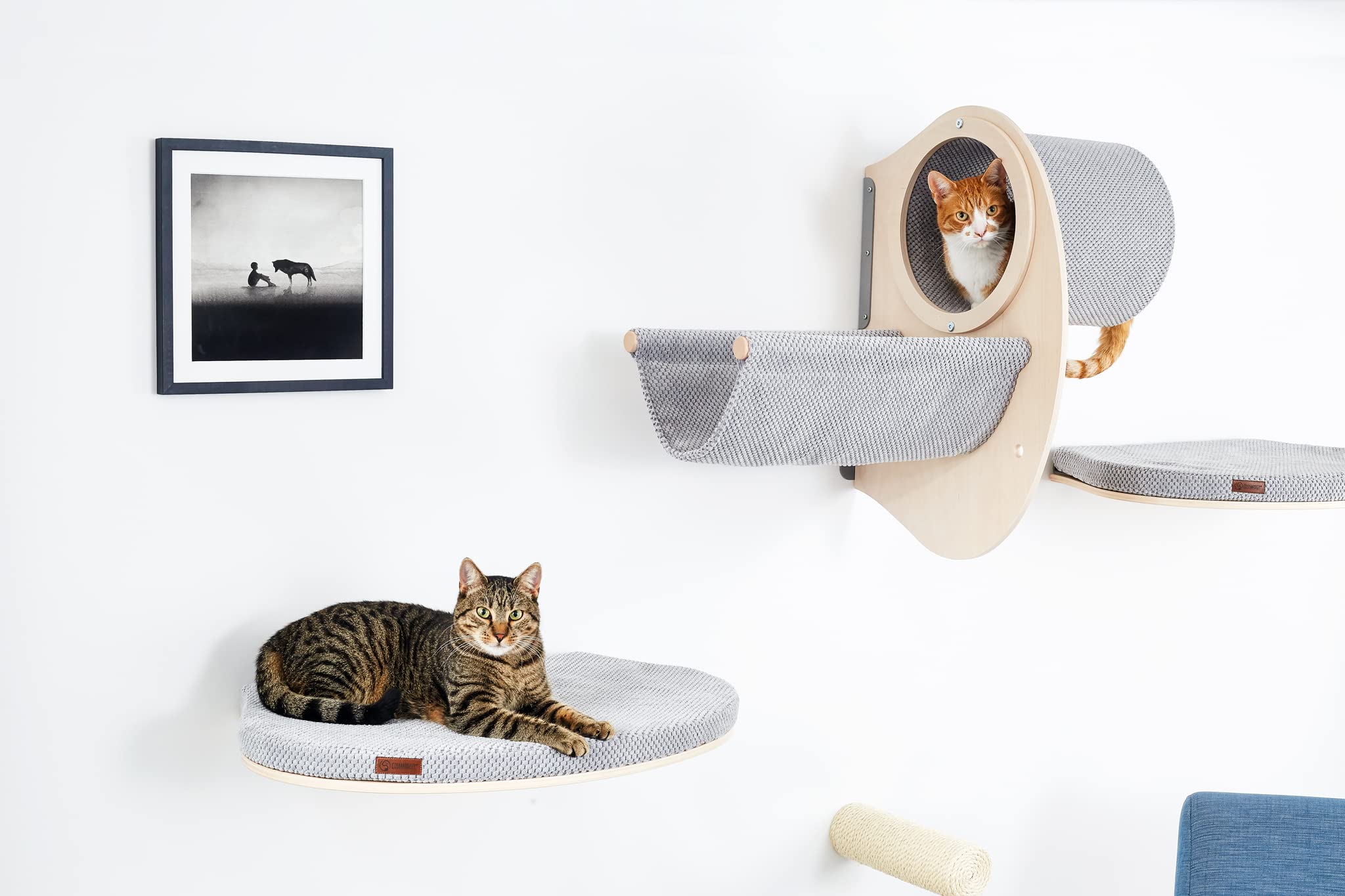 COSY AND DOZY Hamaca para pared de escalada para gatos, para montaje en pared, 68 x 47 cm, tumbona para gatos con colchón de 3 cm, muebles de pared para gatos, estantes para gatos
