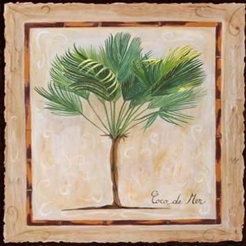Coco De Mer by Adriana 19.63x19.63 Art Print Poster Palm Tree Inside Abstract Frame Tropical Sea Coconut