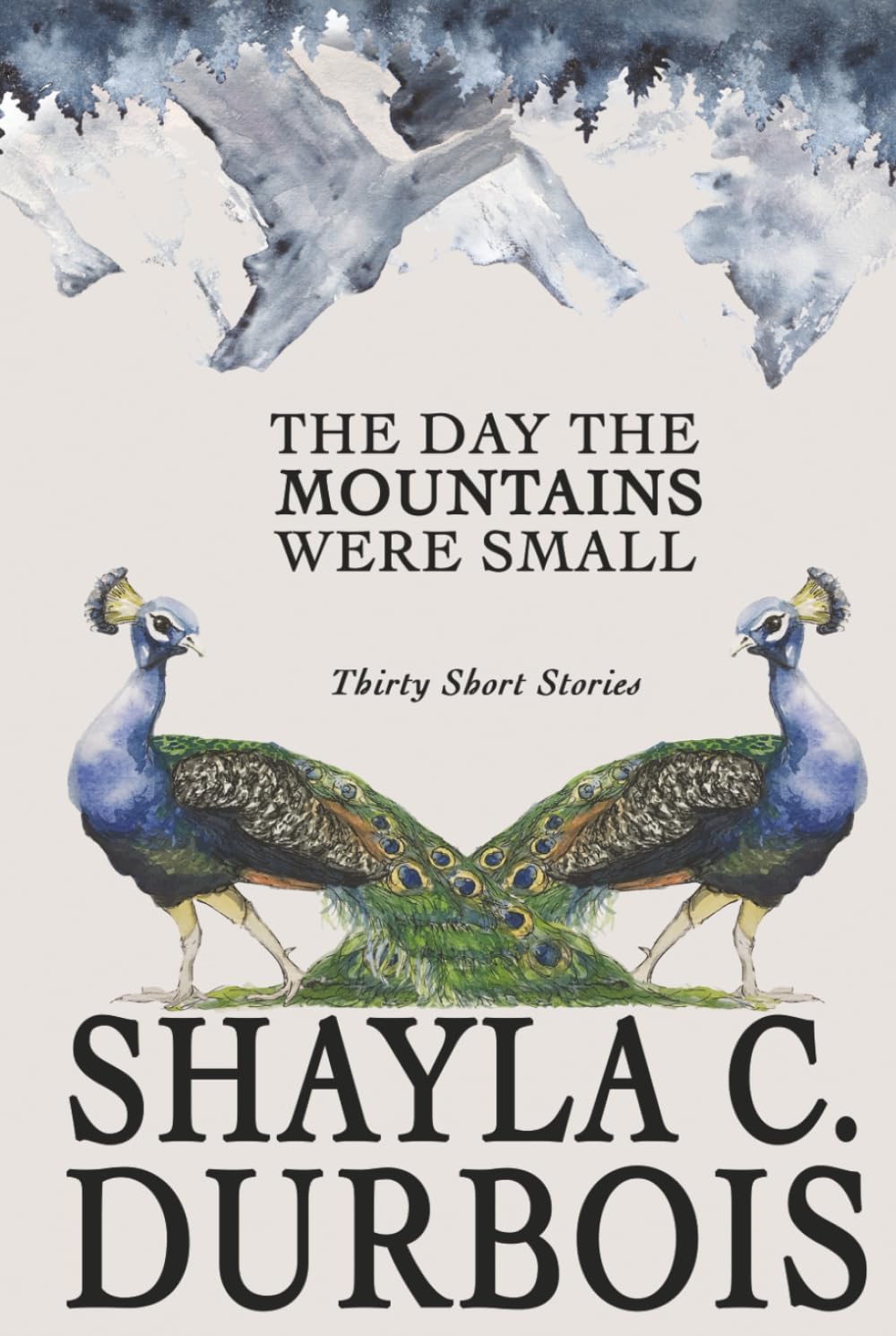 The Day The Mountains Were Small: Thirty Short Stories