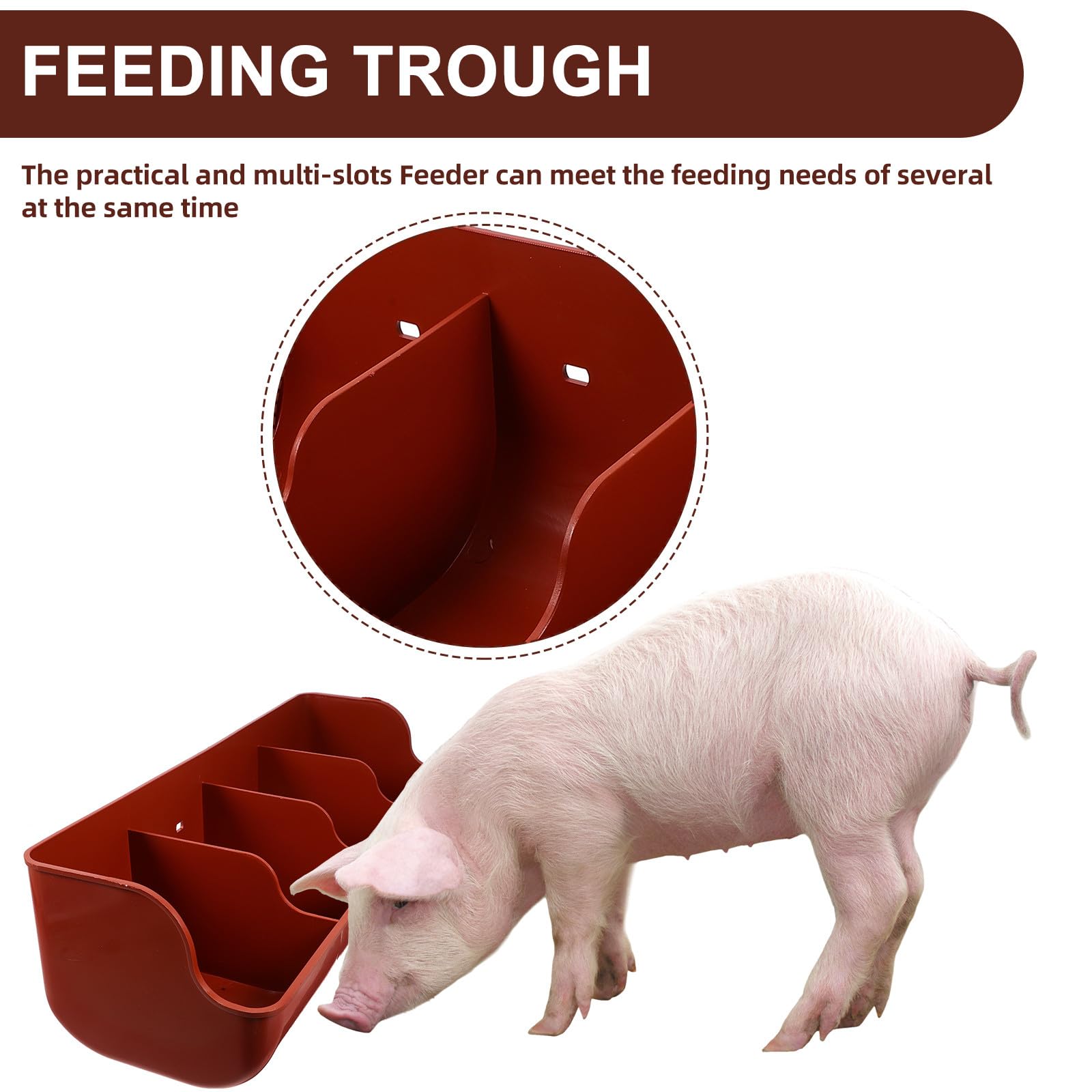 Mangeoire à Cochons à 4 Compartiments, Plastique Résistant à L’usure Chocs, pour Élevage de Ferme, Multi-fentes