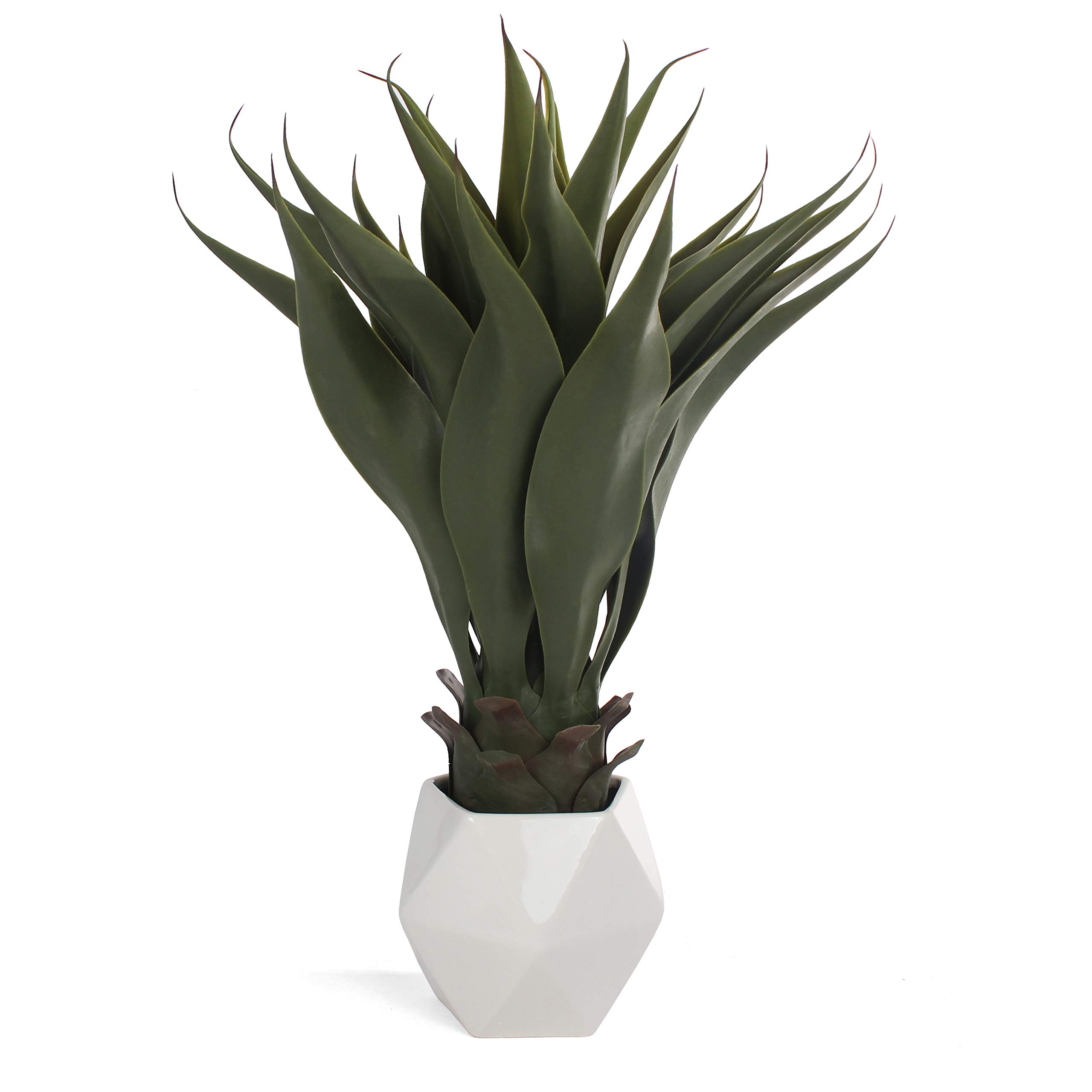 Artificial Plants India Decor For You
