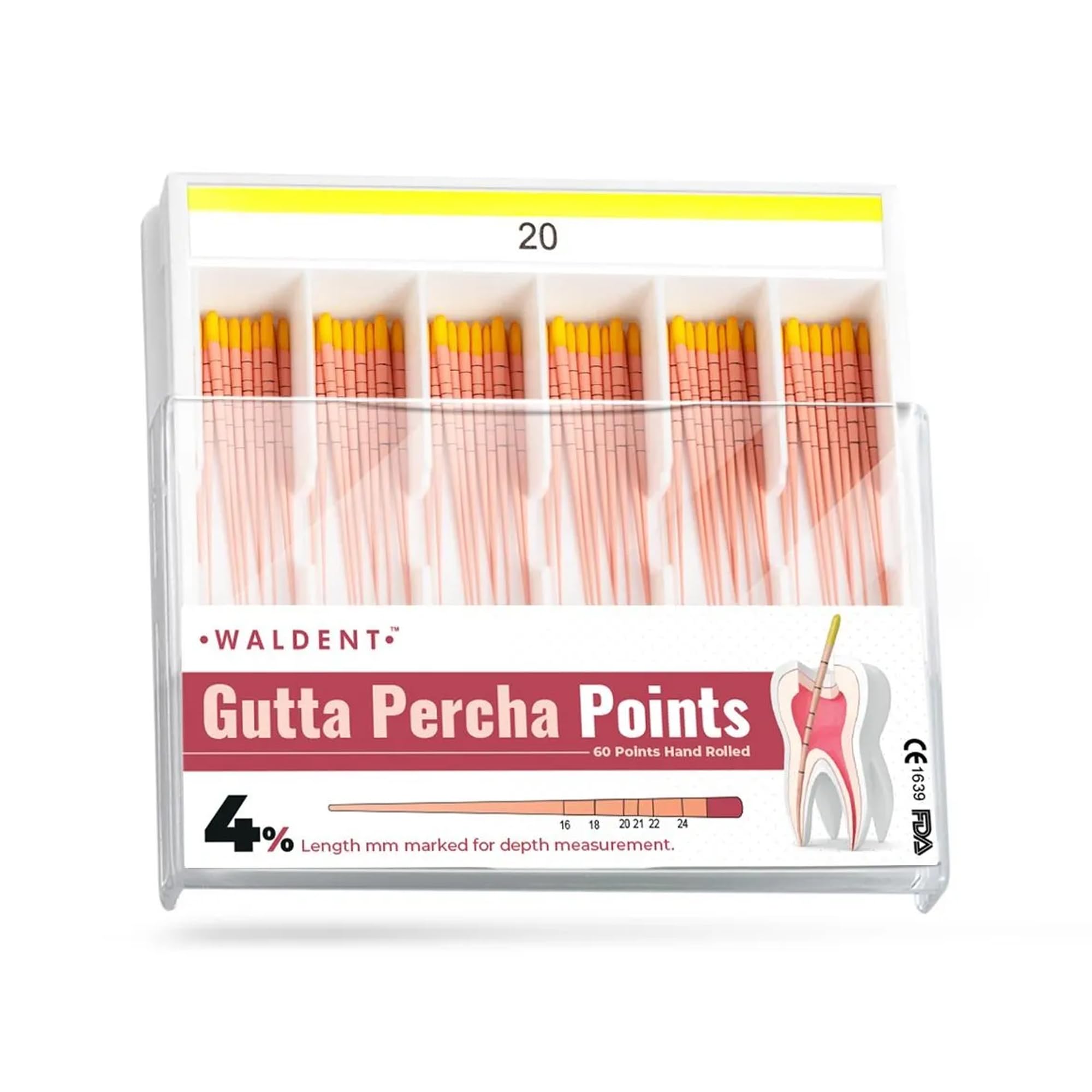 Waldent Gutta Percha Points 4% #20 | Length Marked | Root Canal Filling Material | Sterile & Radiopaque | Dental Endodontic Supplies | Precision Tapered Points | Pack of 120-image-25
