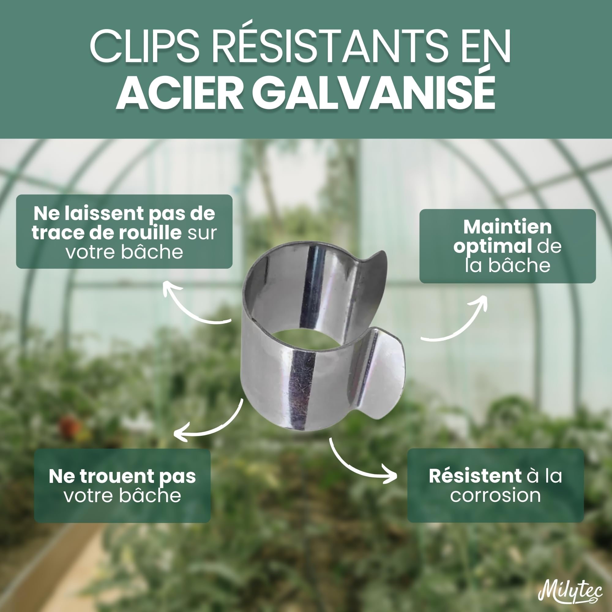 Clips pour Serre 25 mm Acier Galvanisé Lot de 50 Fixation Métal Bâche Tunnel